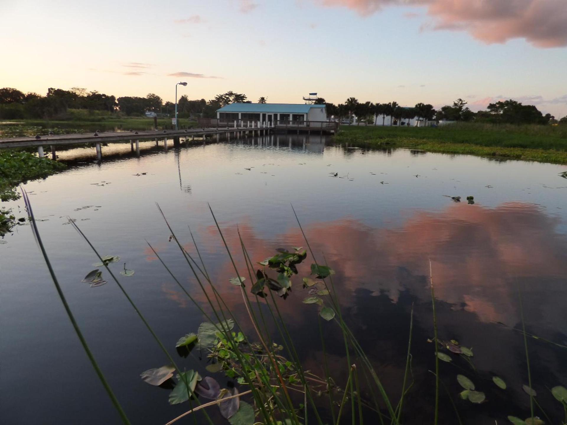 Lakeshore Resort and Marina photo 67