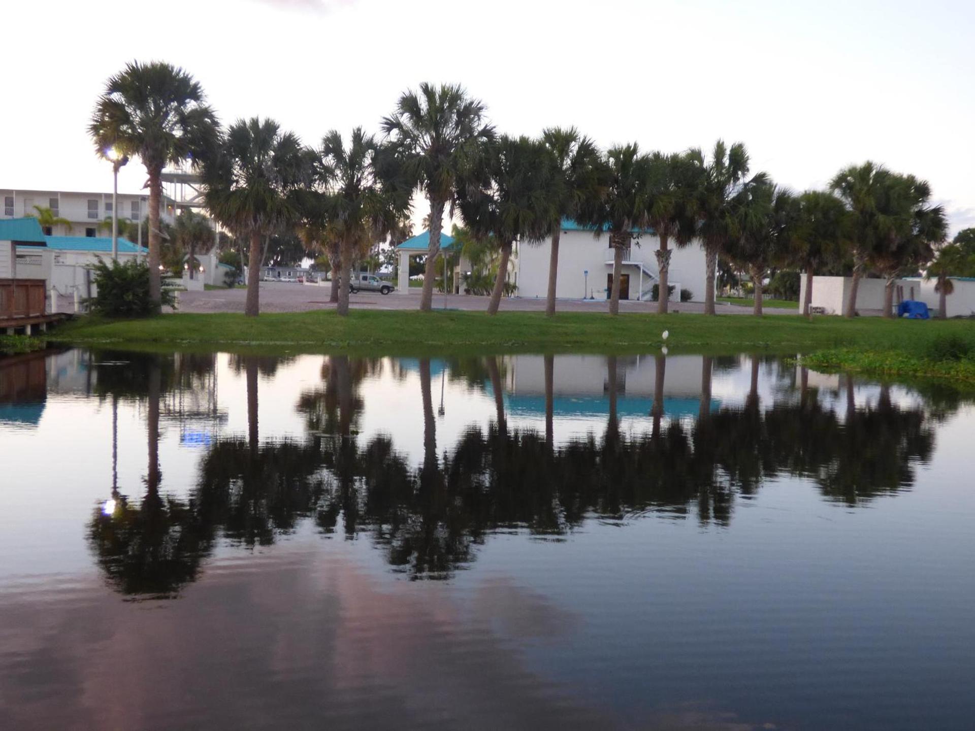 Lakeshore Resort and Marina photo 69