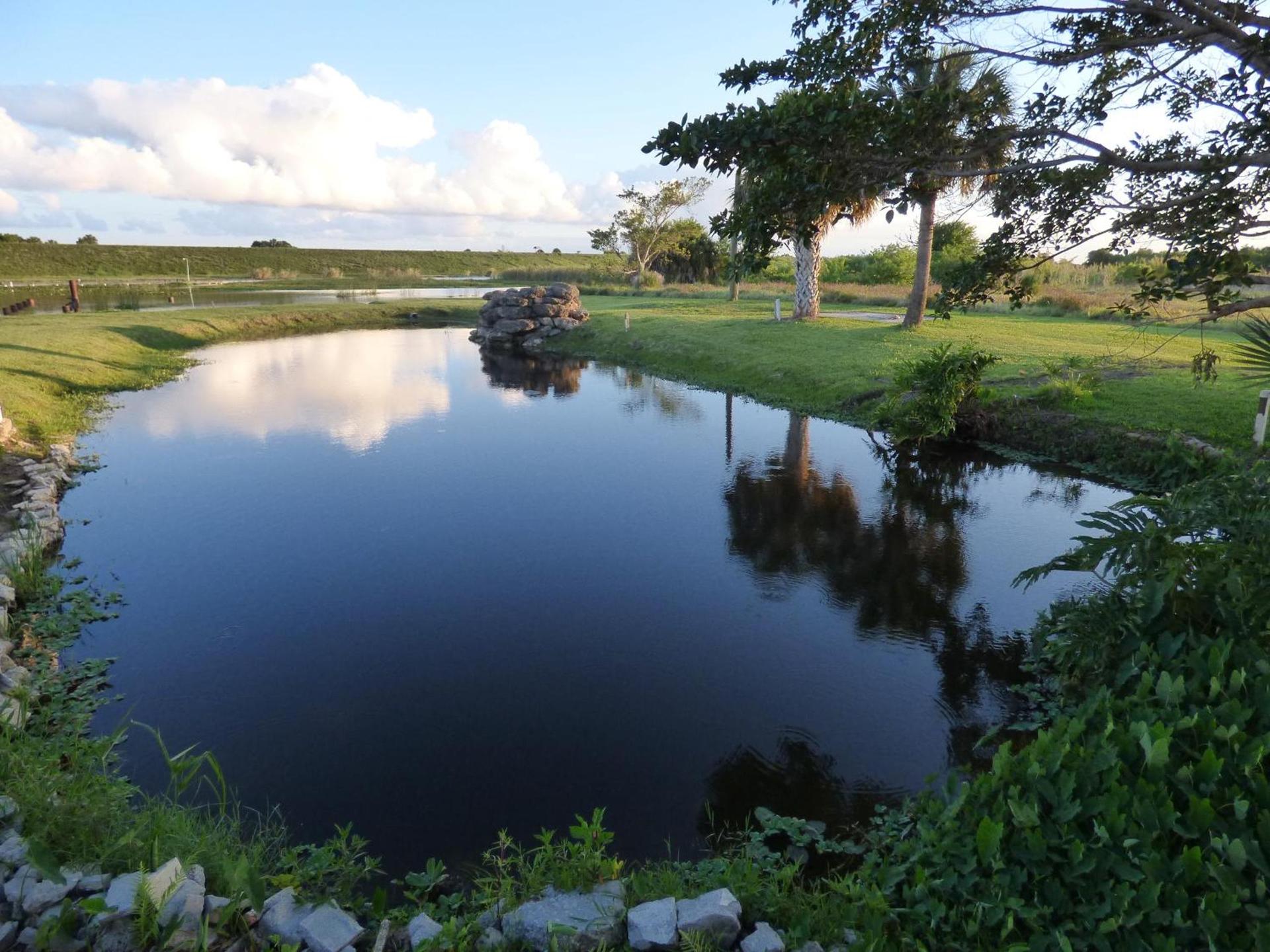 Lakeshore Resort and Marina photo 72