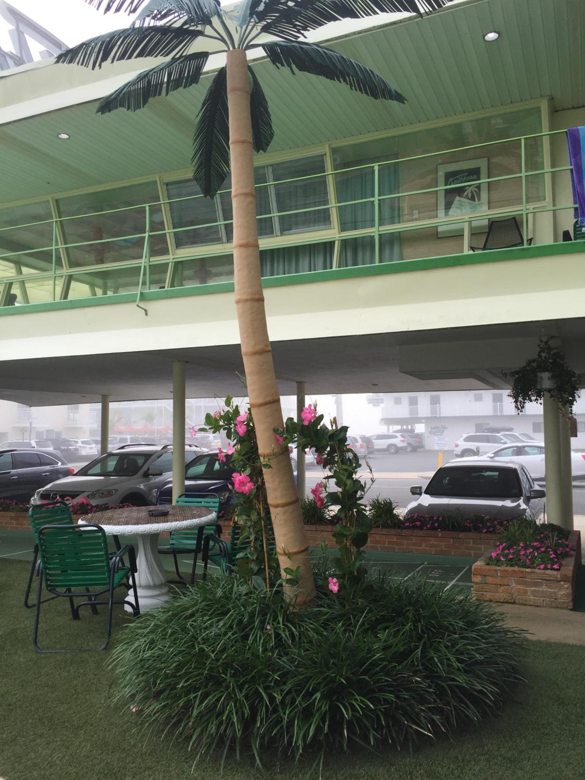 Caribbean Motel photo 25