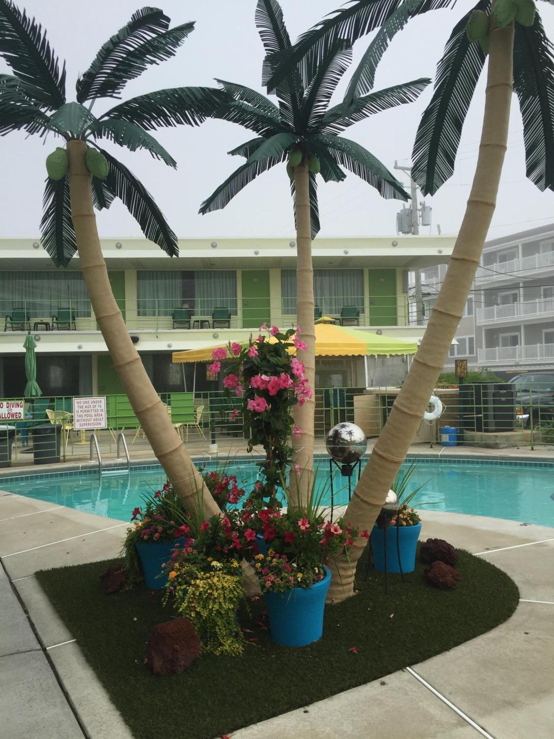 Caribbean Motel photo 6