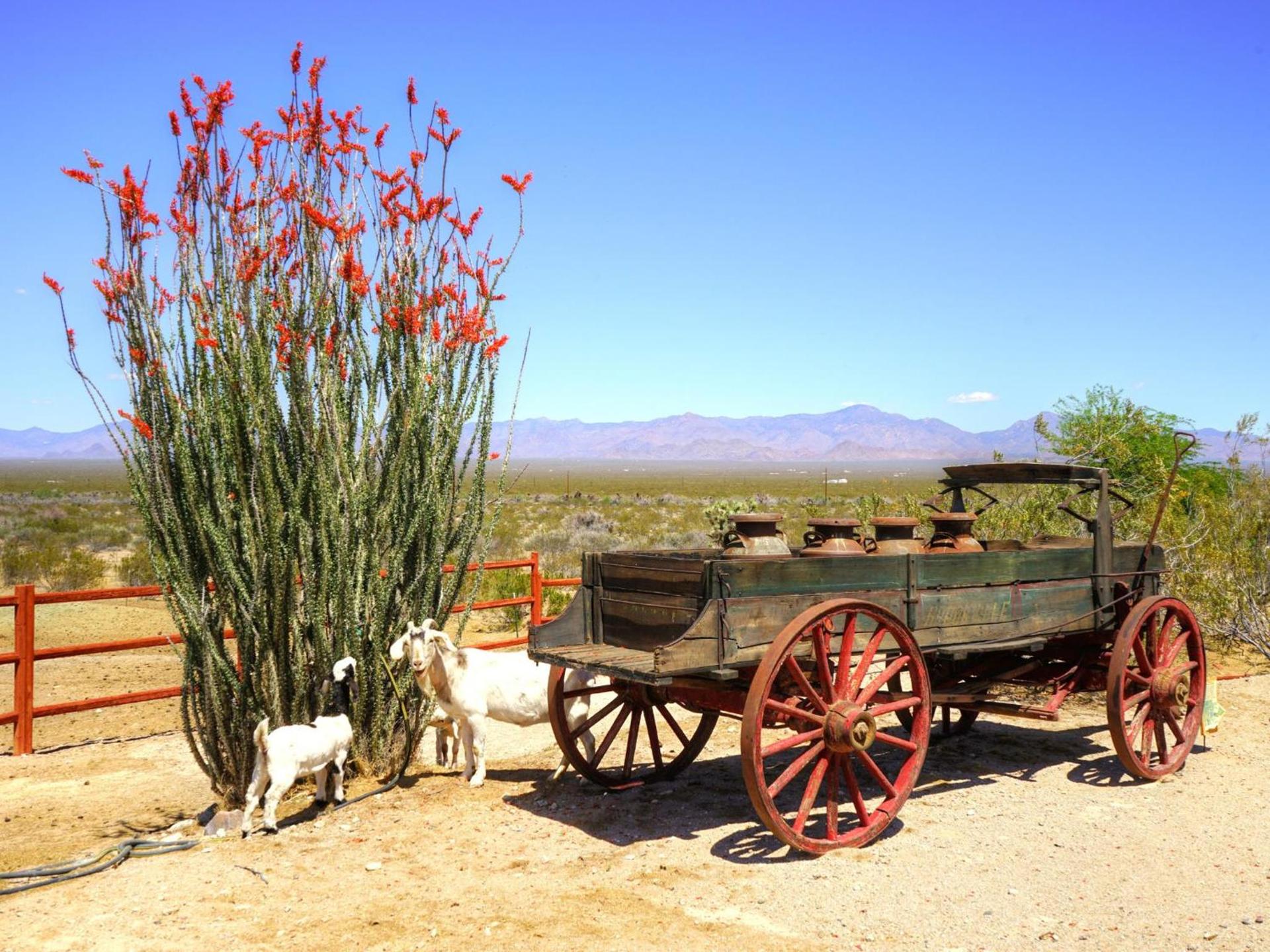 Stagecoach Trails Guest Ranch photo 33