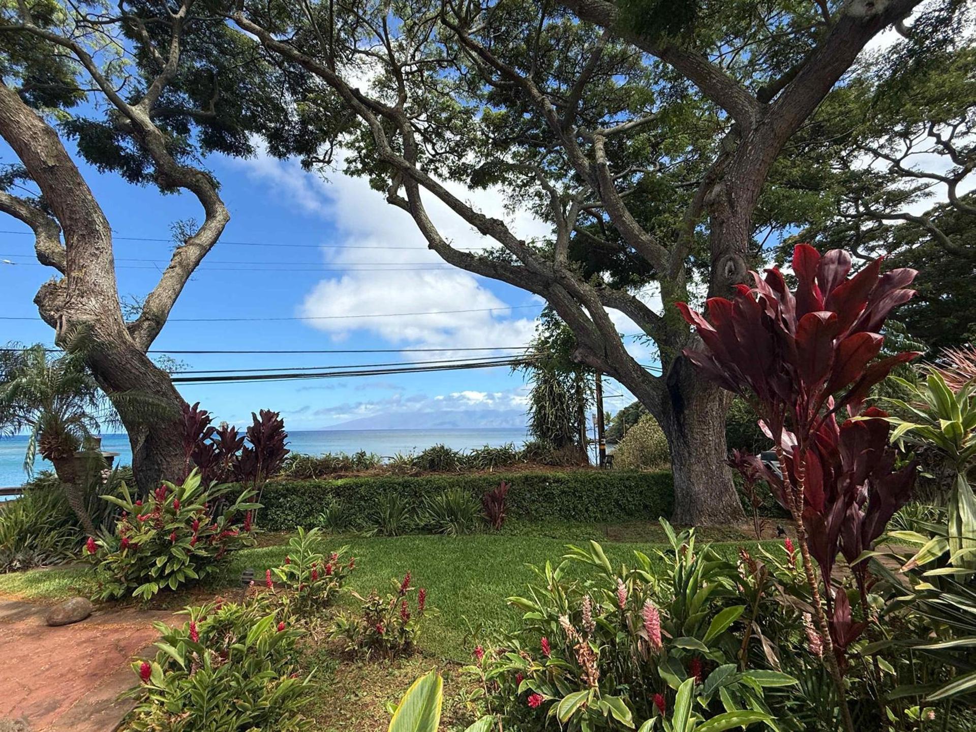 Maui B&B - 3 Ensuite Rooms - Steps from Beach w AC photo 19