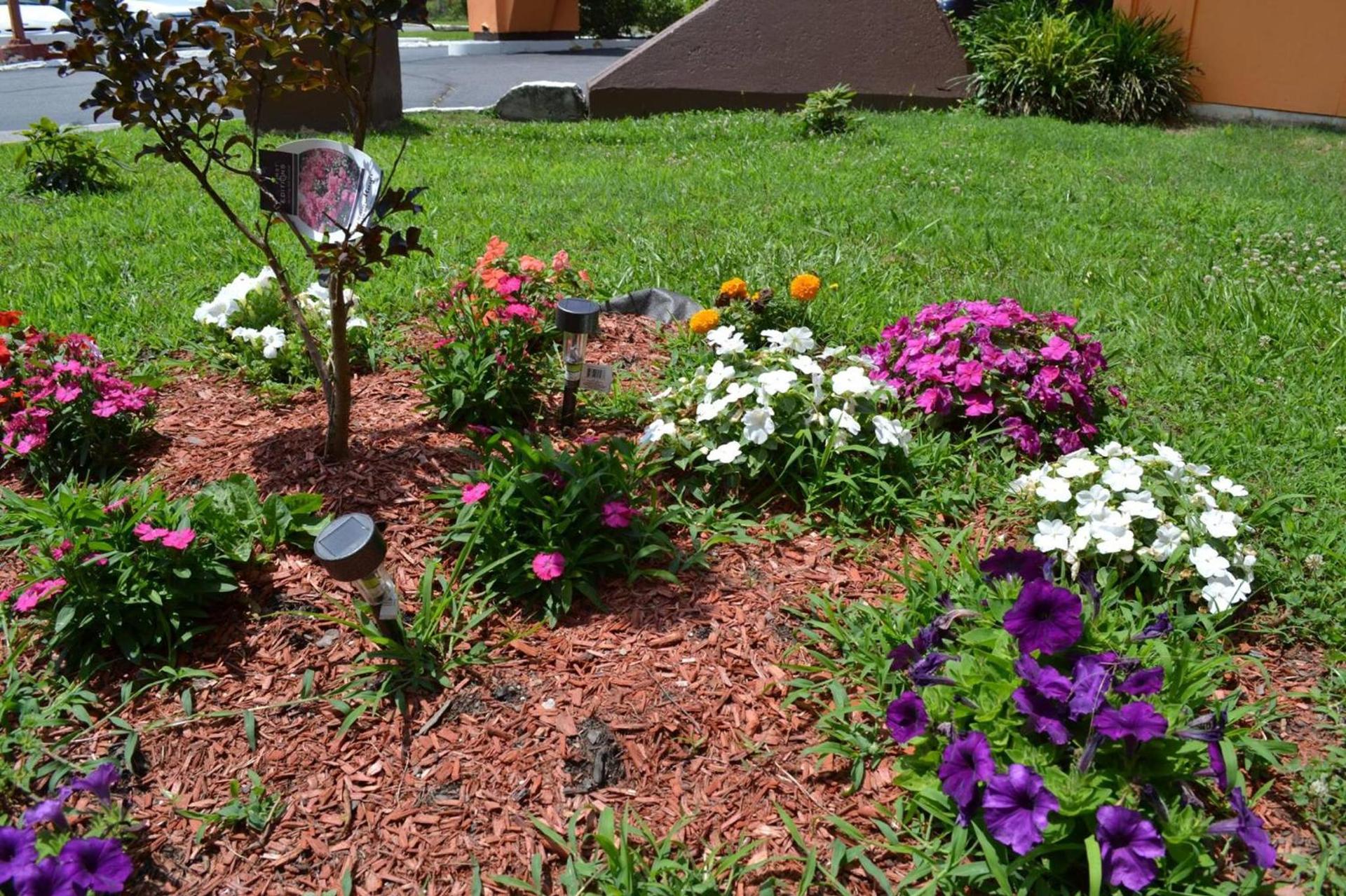Americas Best Value Inn Smithfield photo 12