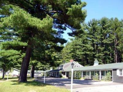 White Trellis Motel photo 5