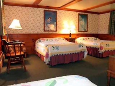 White Trellis Motel photo 3