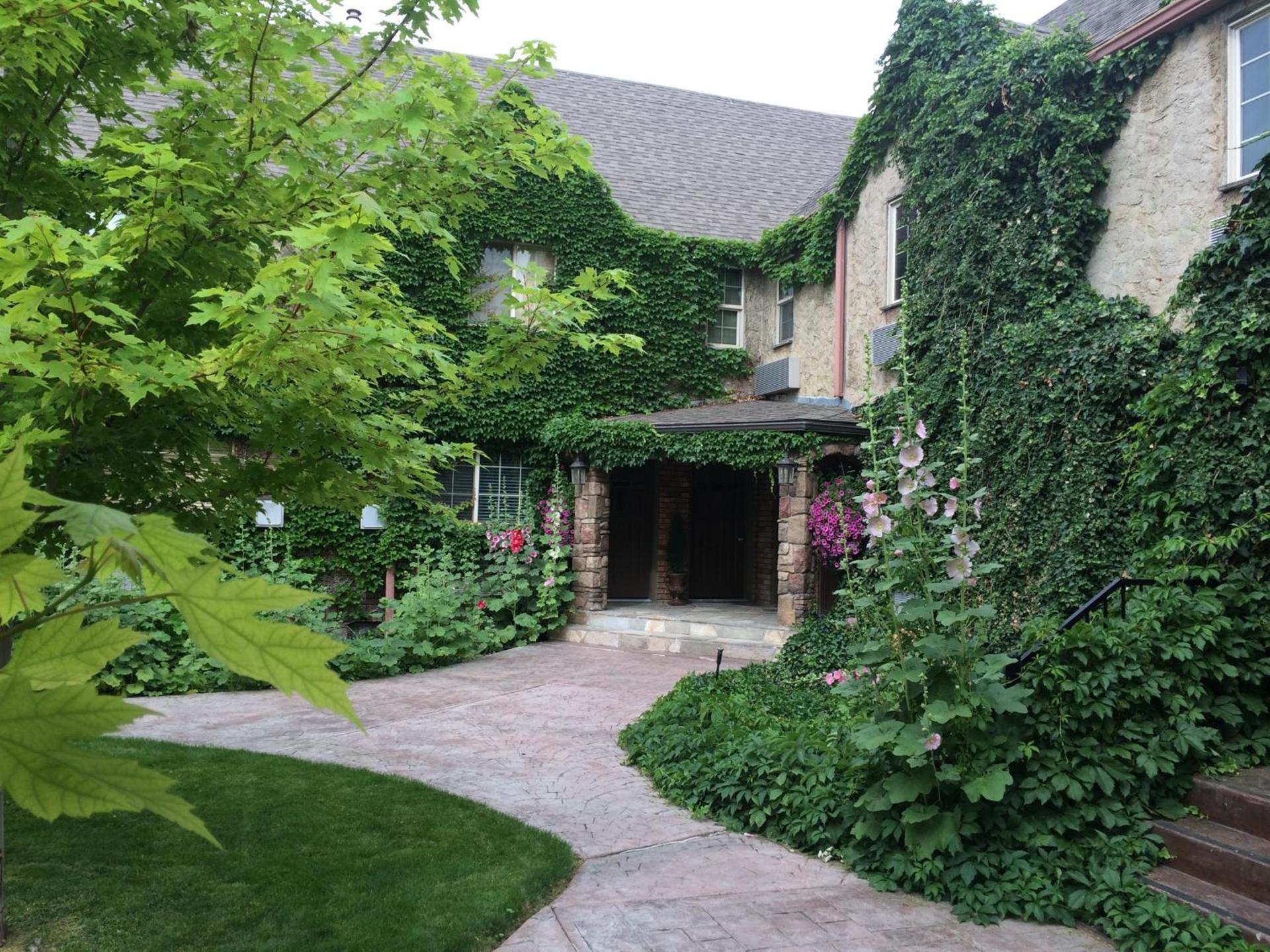Black Swan Inn Luxurious Theme Rooms photo 8