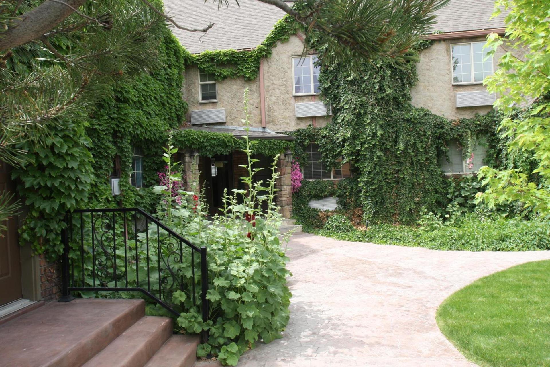Black Swan Inn Luxurious Theme Rooms photo 12
