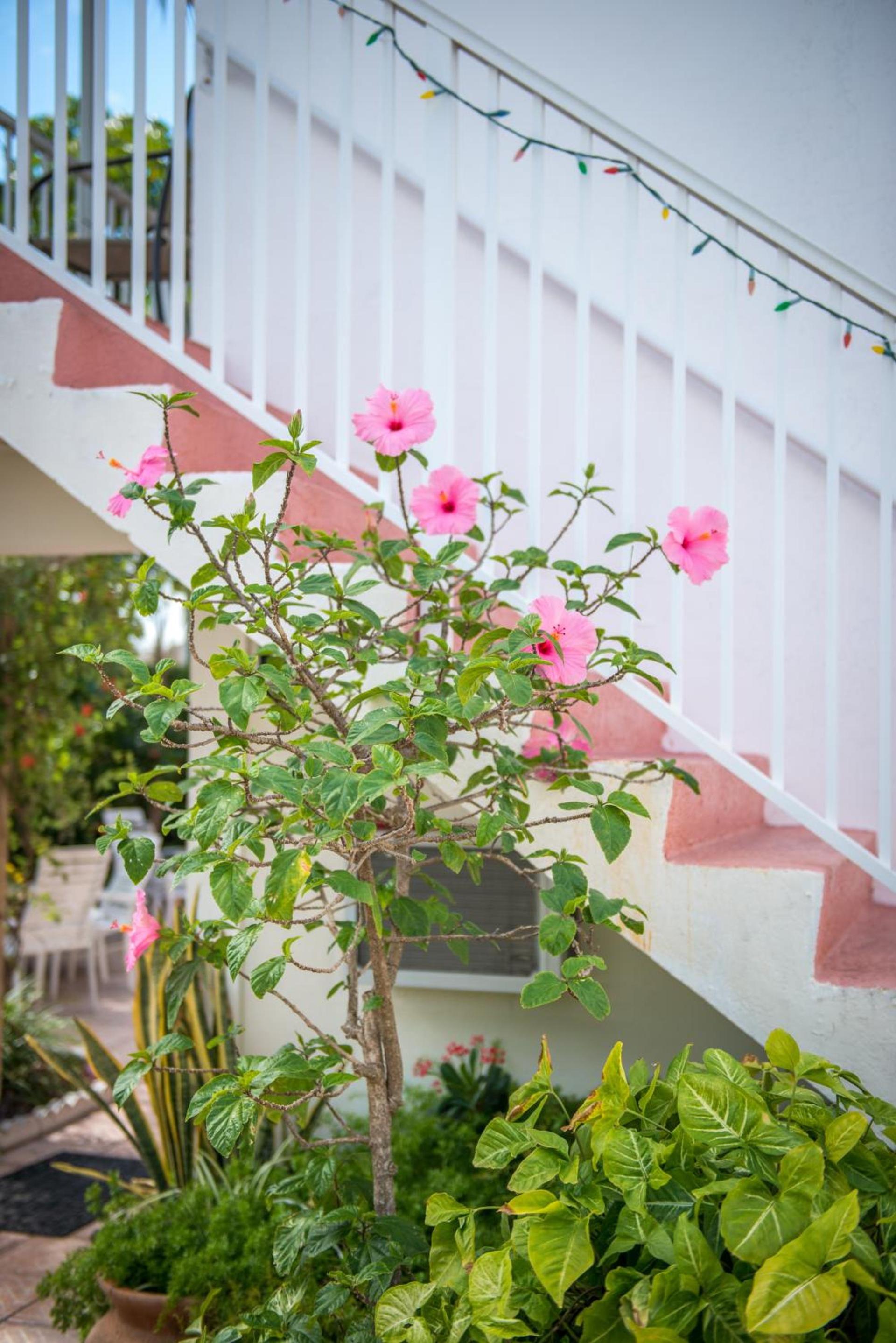 Shore Haven Resort Inn photo 24