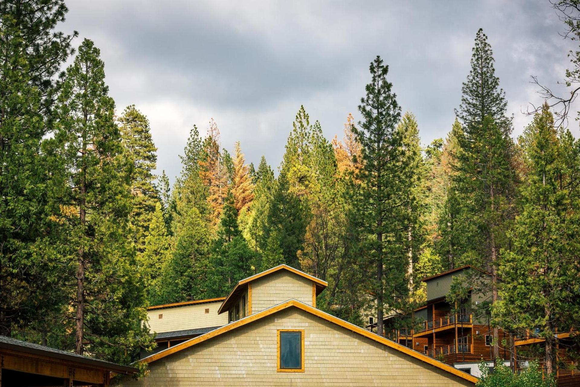 Rush Creek Lodge at Yosemite photo 23
