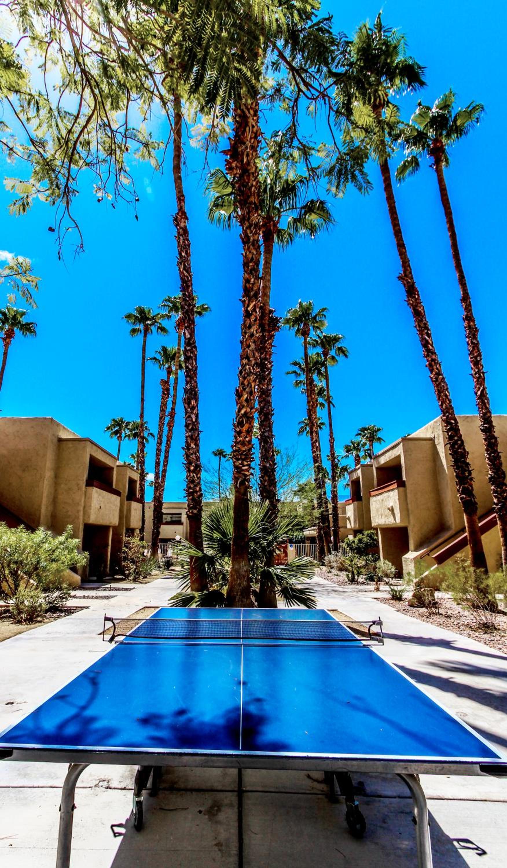 Desert Vacation Villas photo 7