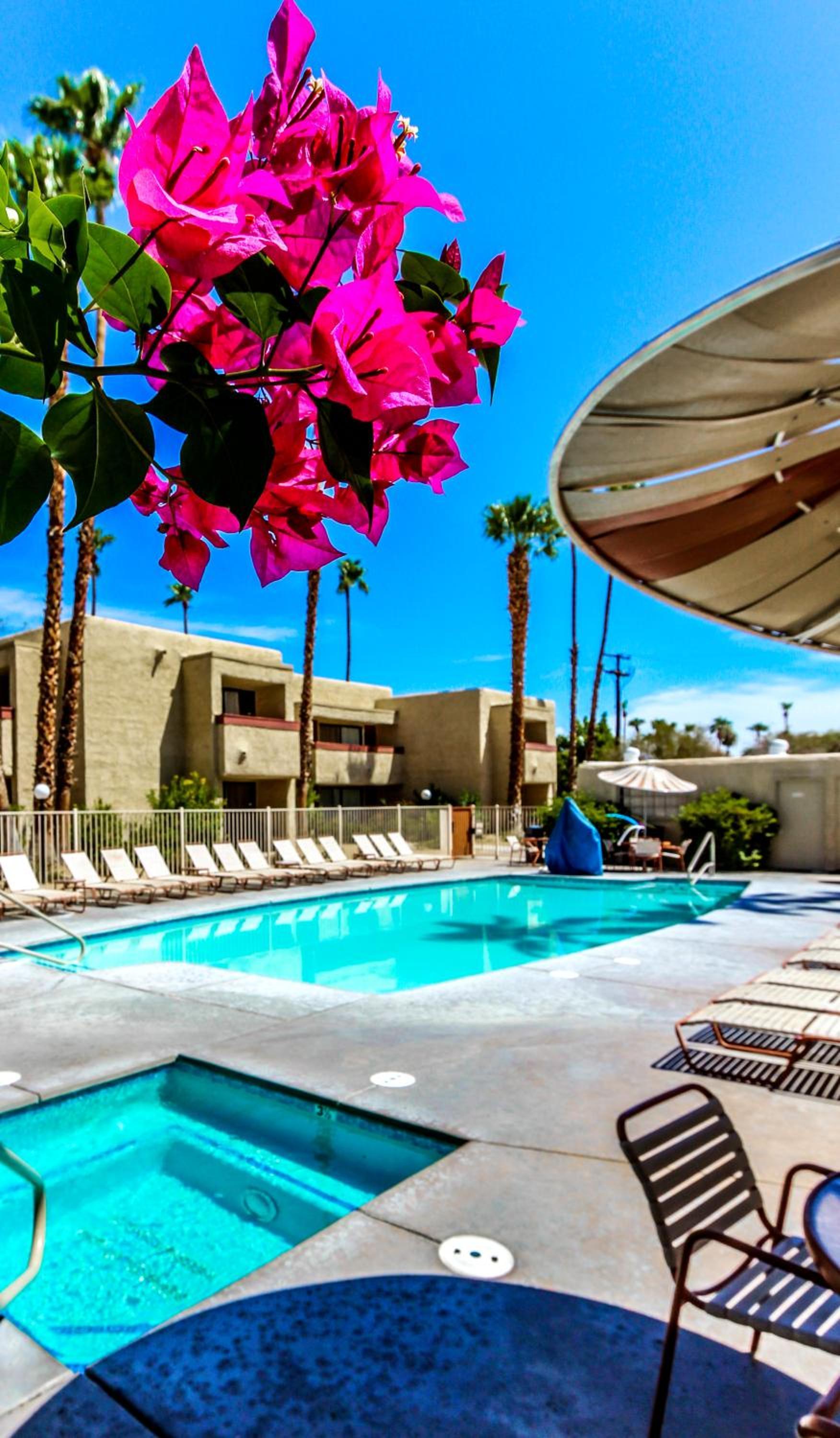 Desert Vacation Villas photo 19