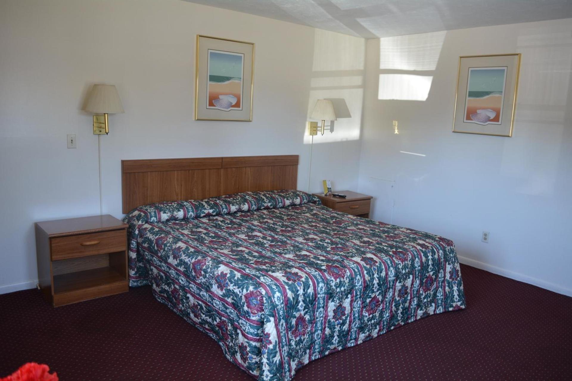 Ventura Motel photo 13