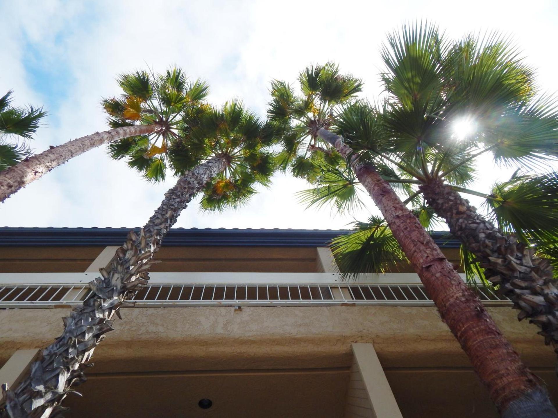 The Pacific Inn photo 34