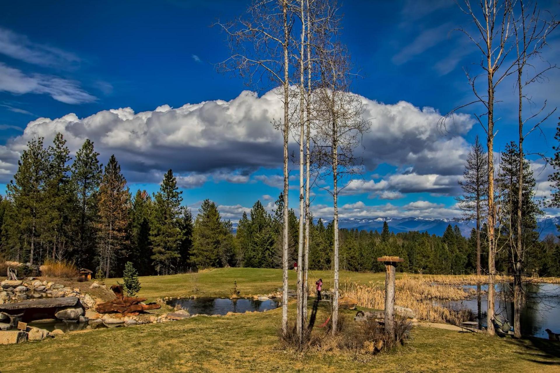 Talus Rock Retreat photo 16