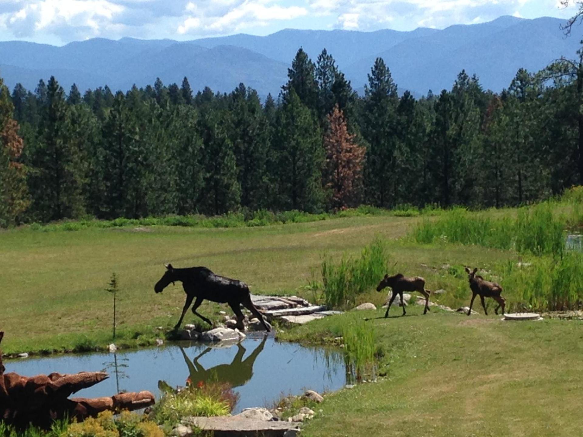 Talus Rock Retreat photo 25