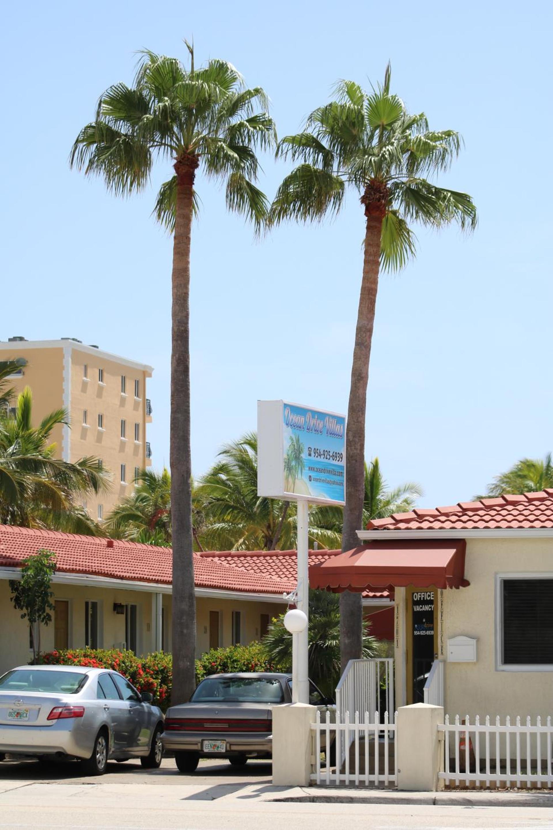 Ocean Drive Villas photo 10