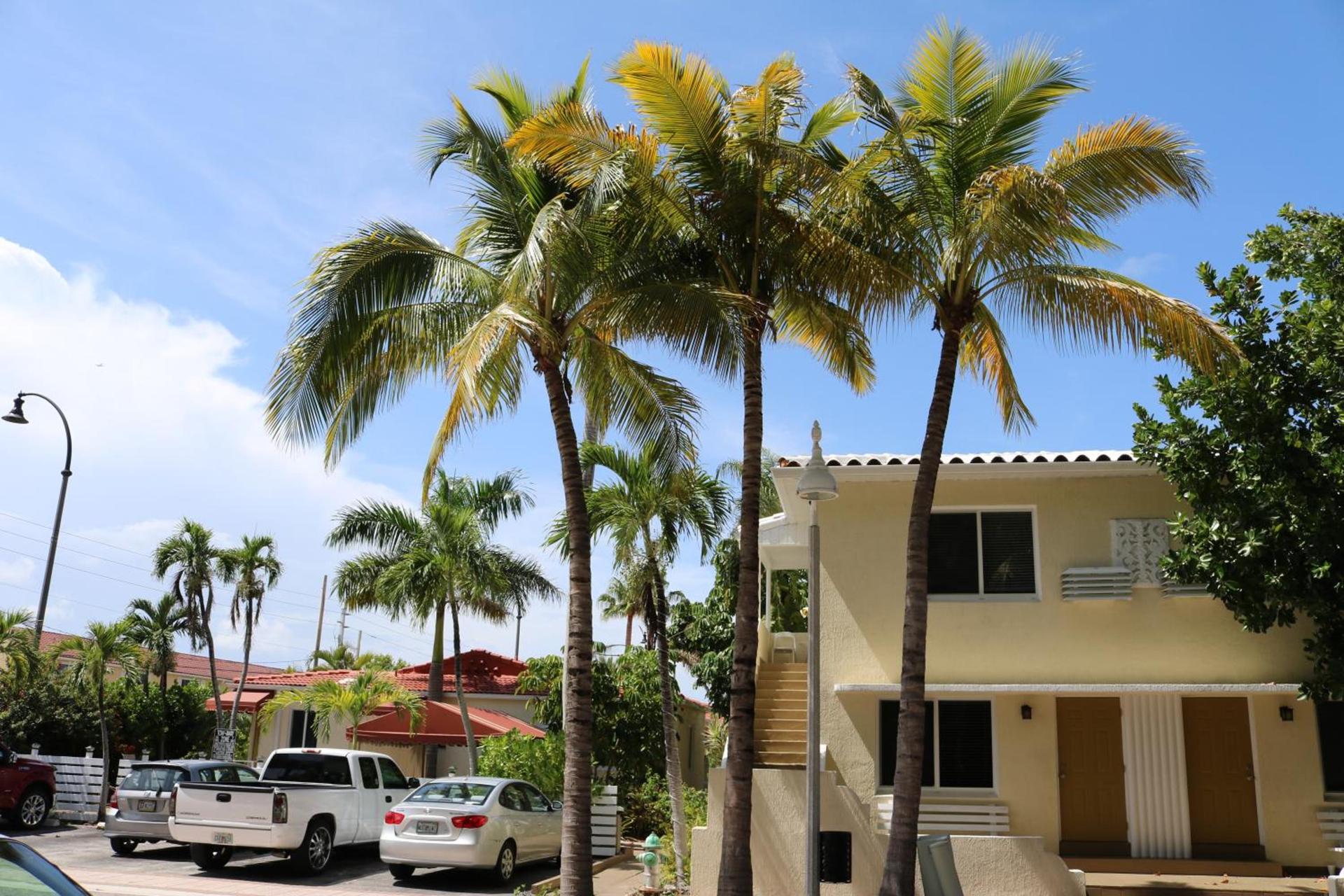 Ocean Drive Villas photo 11