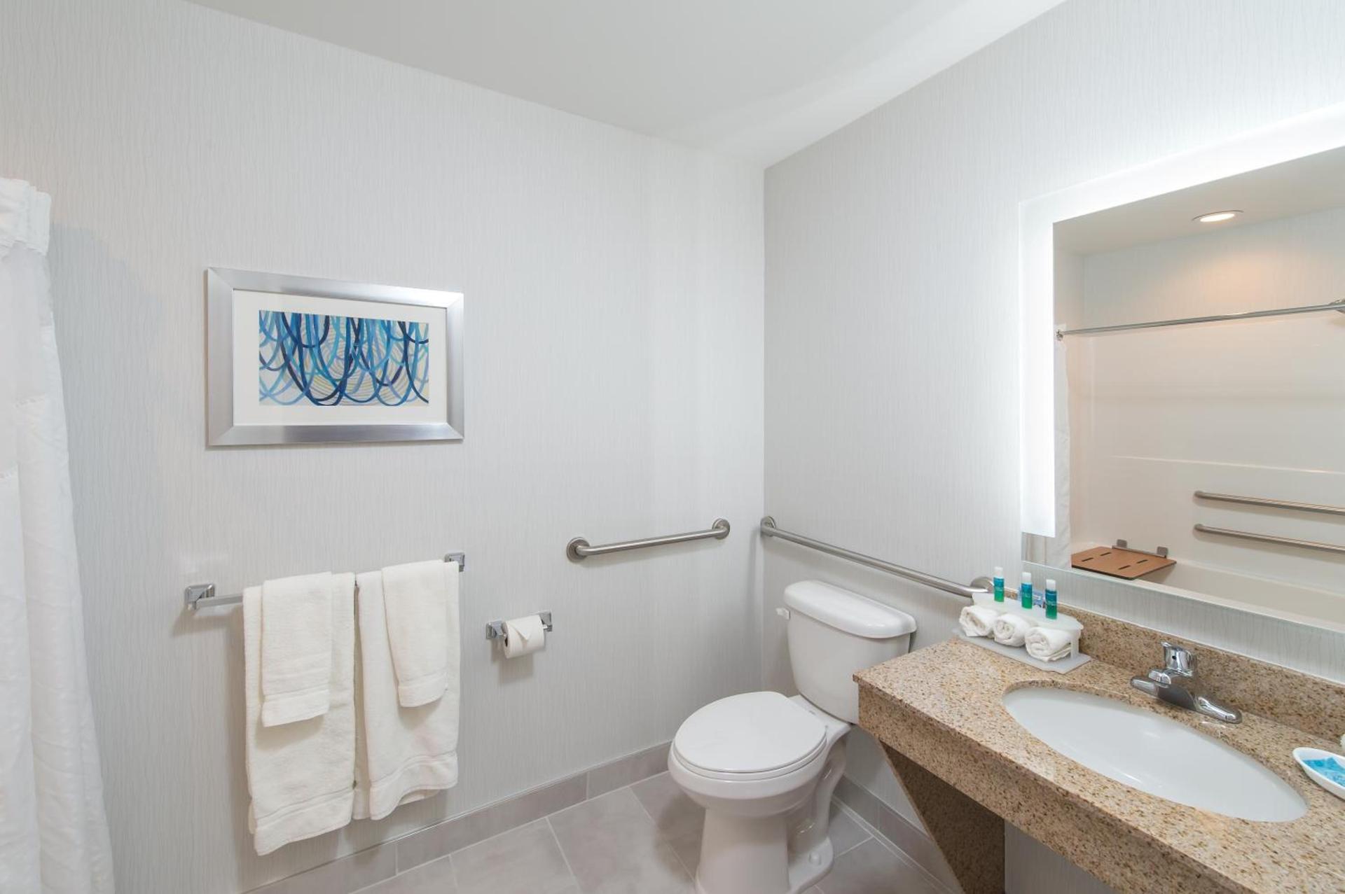 Holiday Inn Express Hotel & Suites Clifton Park by IHG photo 3