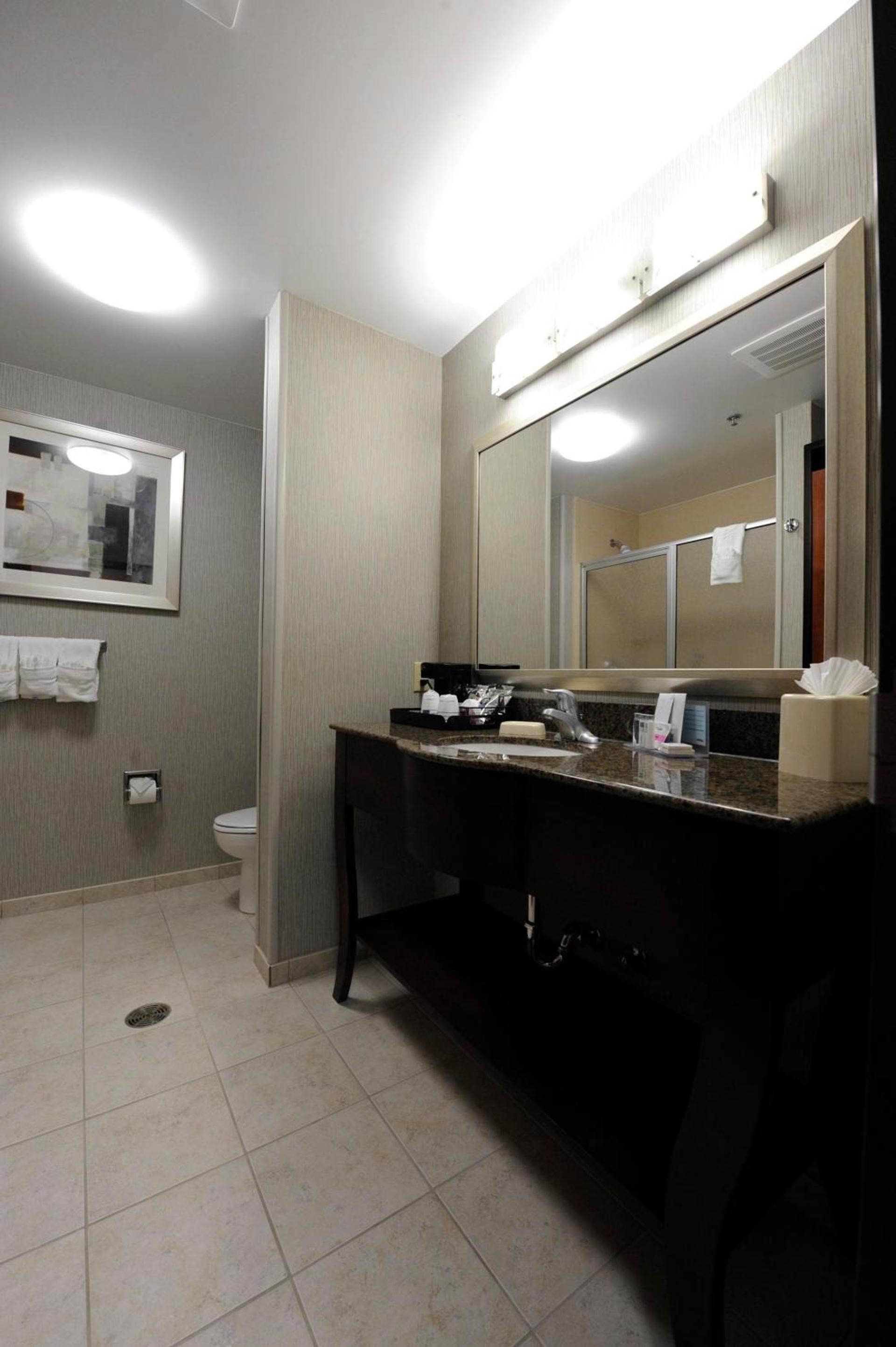 Hampton Inn & Suites Craig, CO photo 6