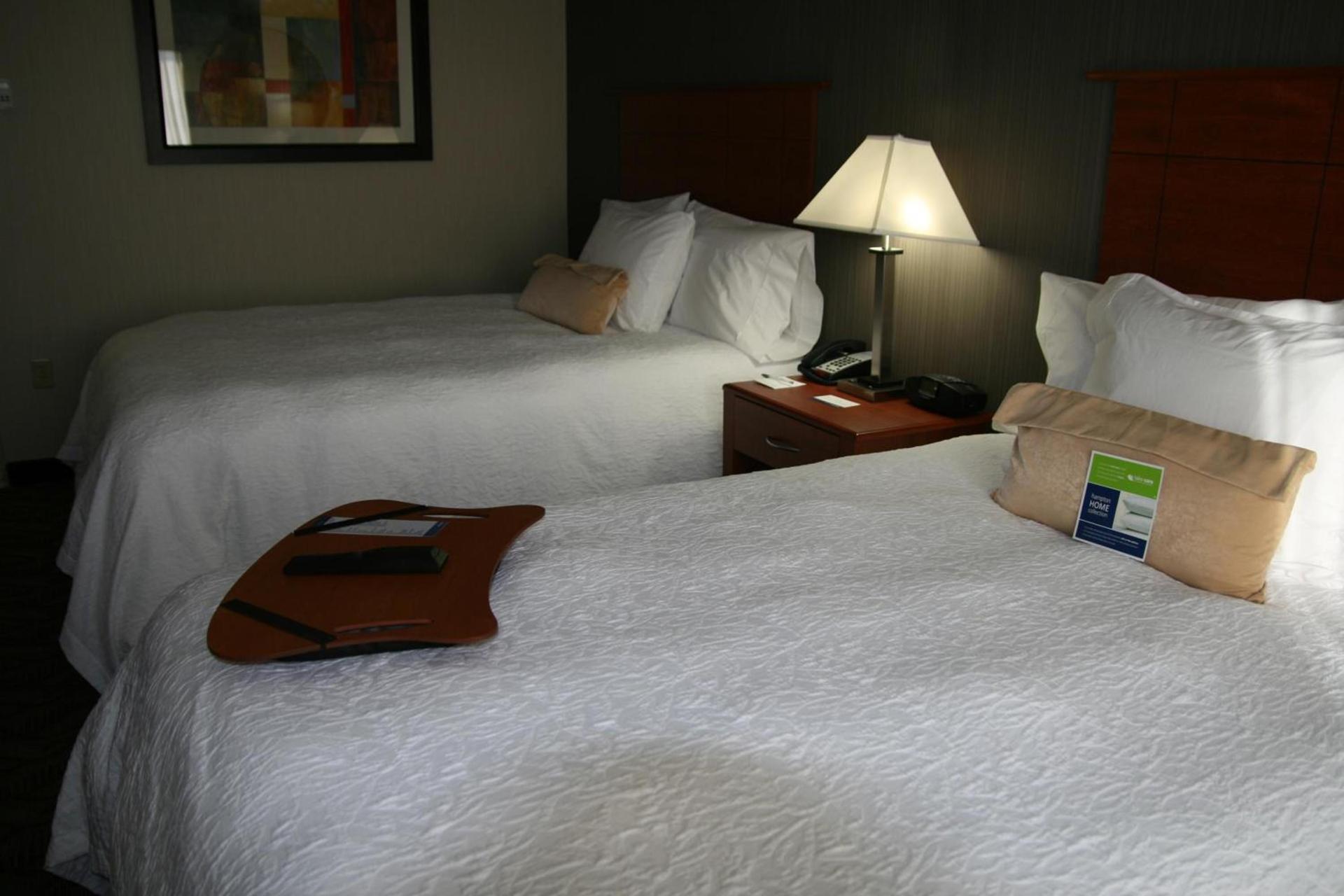 Hampton Inn & Suites Craig, CO photo 14