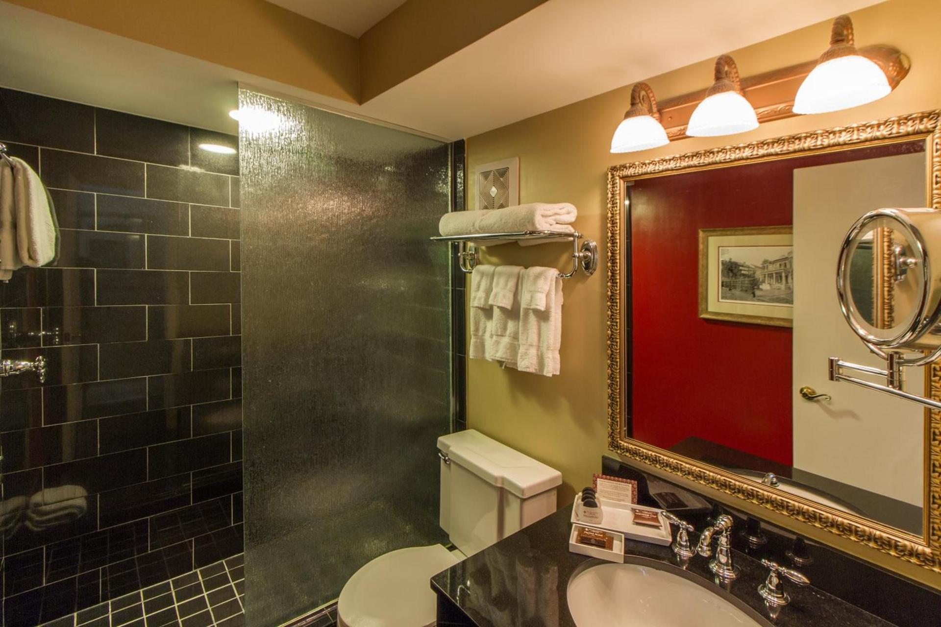 Bourbon Orleans Hotel photo 91