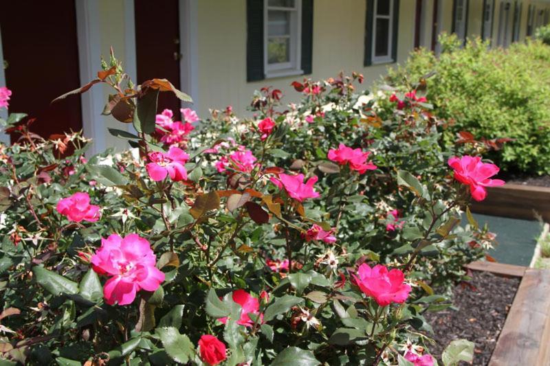 Lodge at Kennebunk photo 20