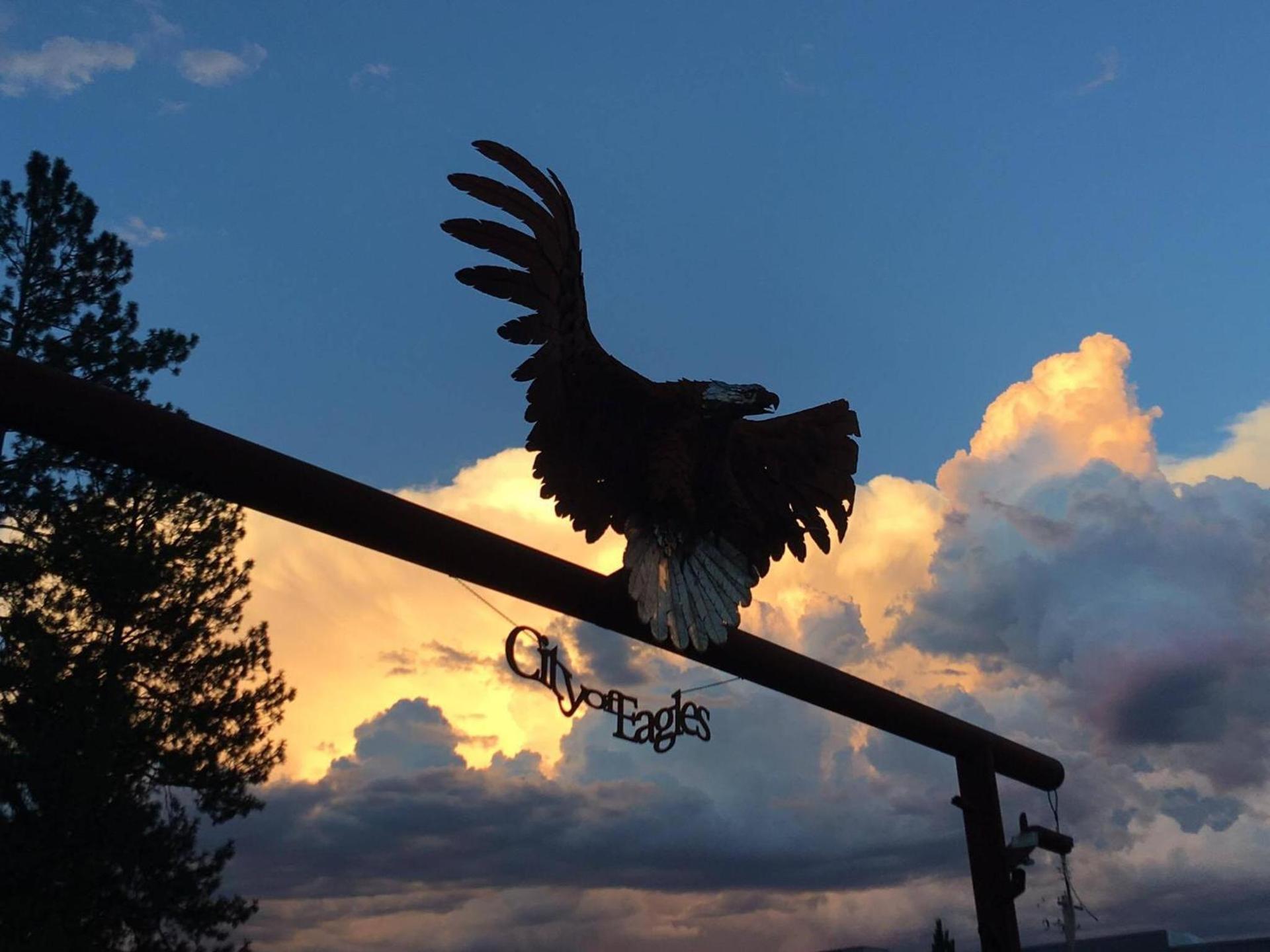 Evergreen Motel photo 14