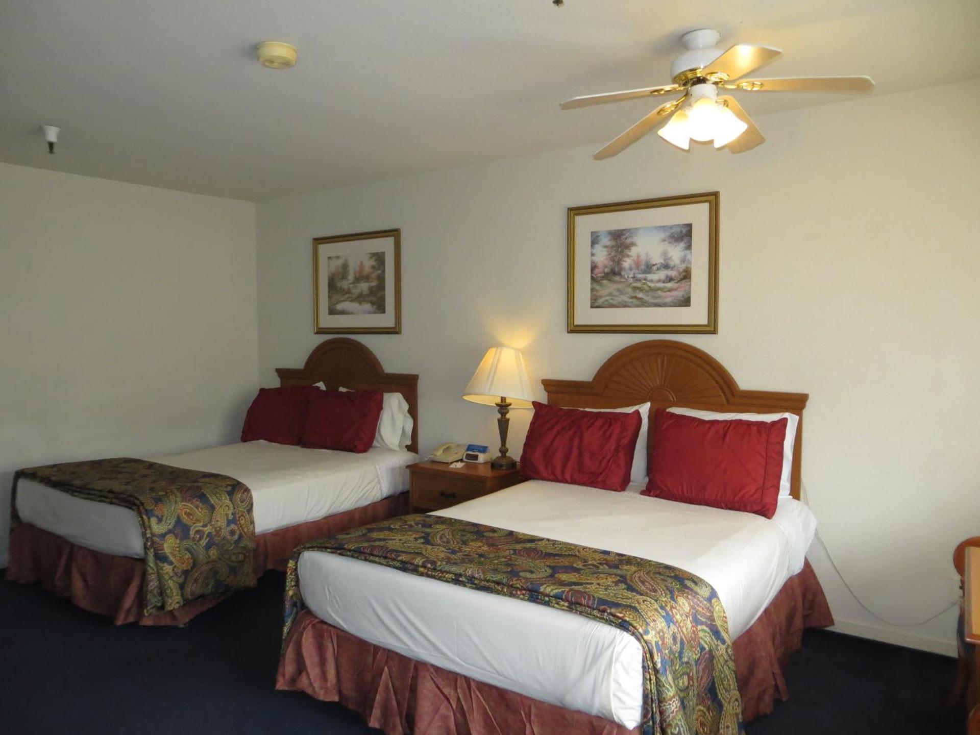 The Monarch Resort photo 25