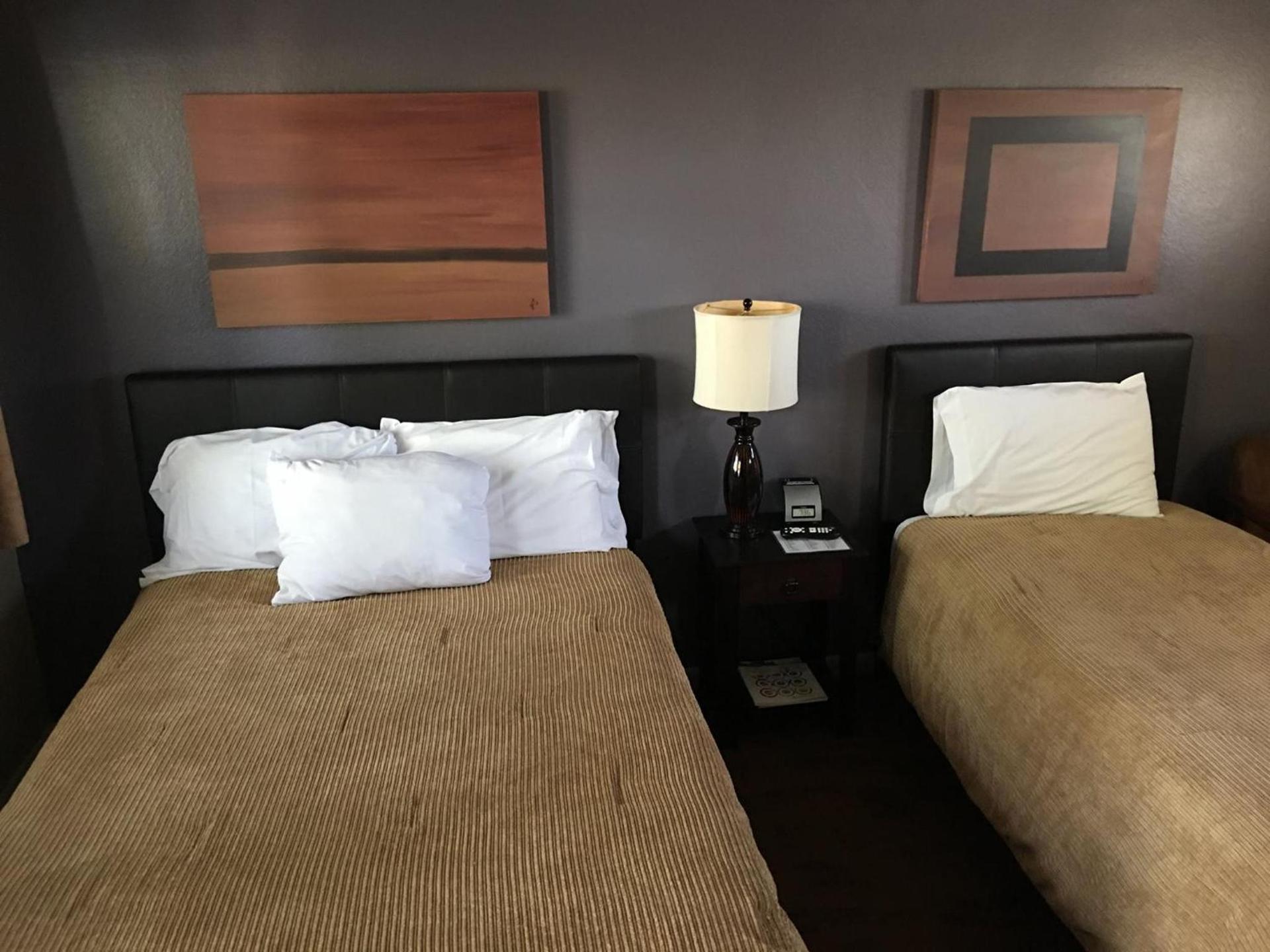 The Triangle Motel photo 20