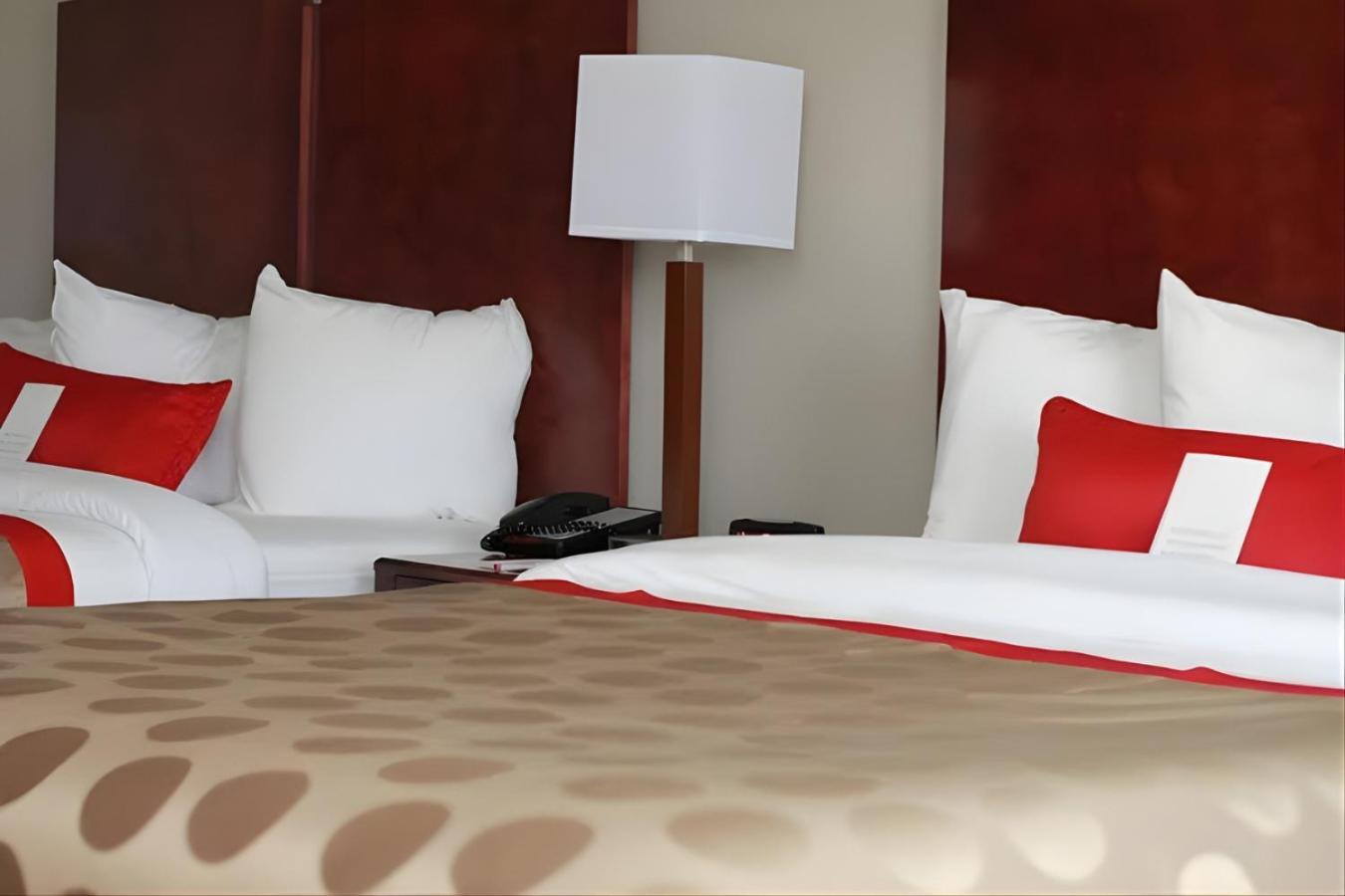 Iberia House & Suites photo 20