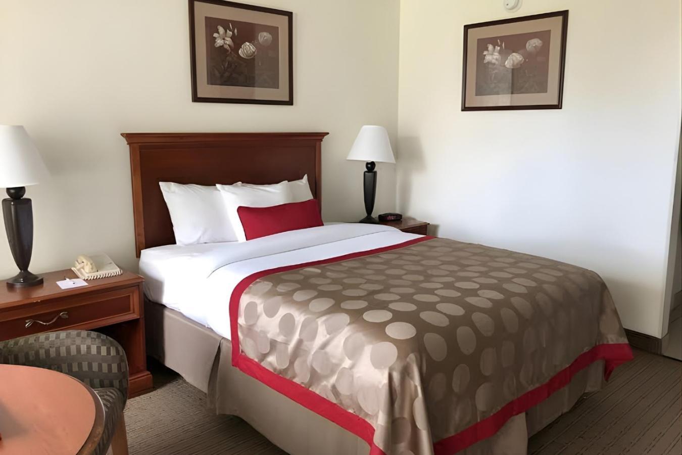 Iberia House & Suites photo 18