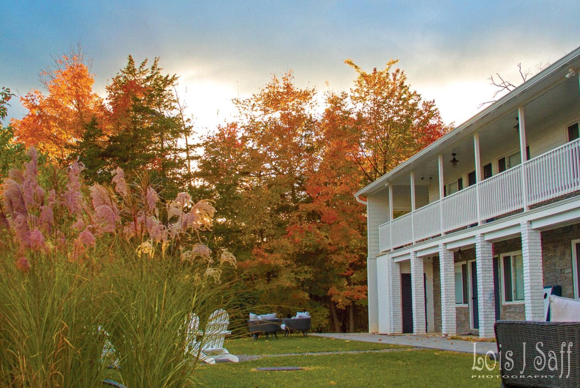 Hotel Dylan photo 1