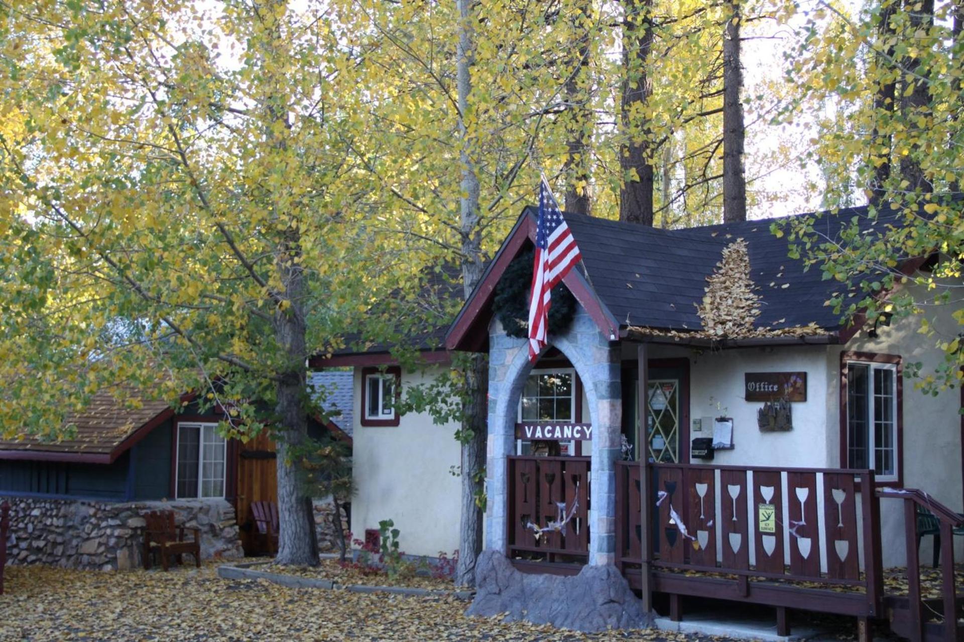 Castle Wood Cottages photo 1