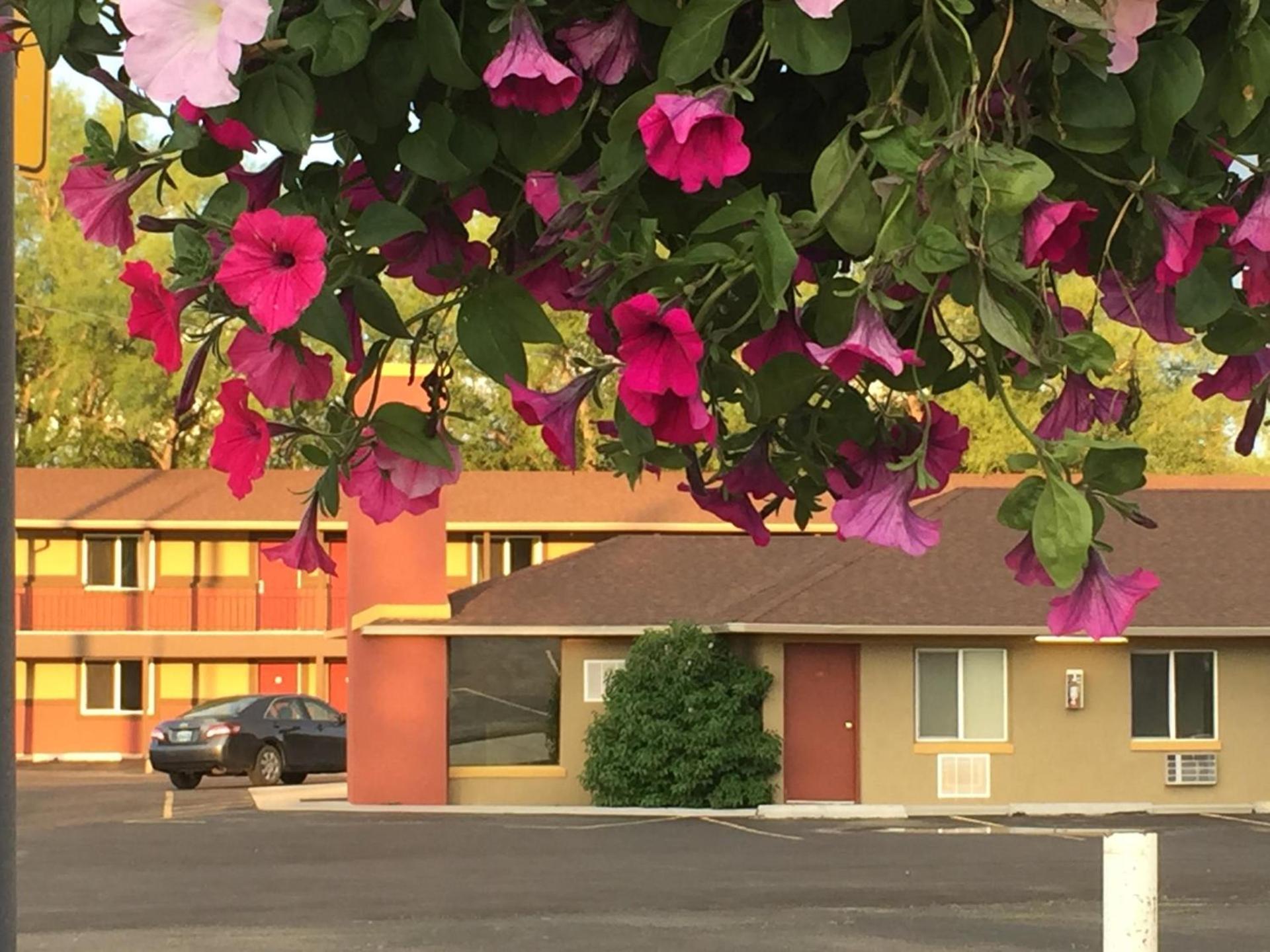 Gateway Inn photo 1