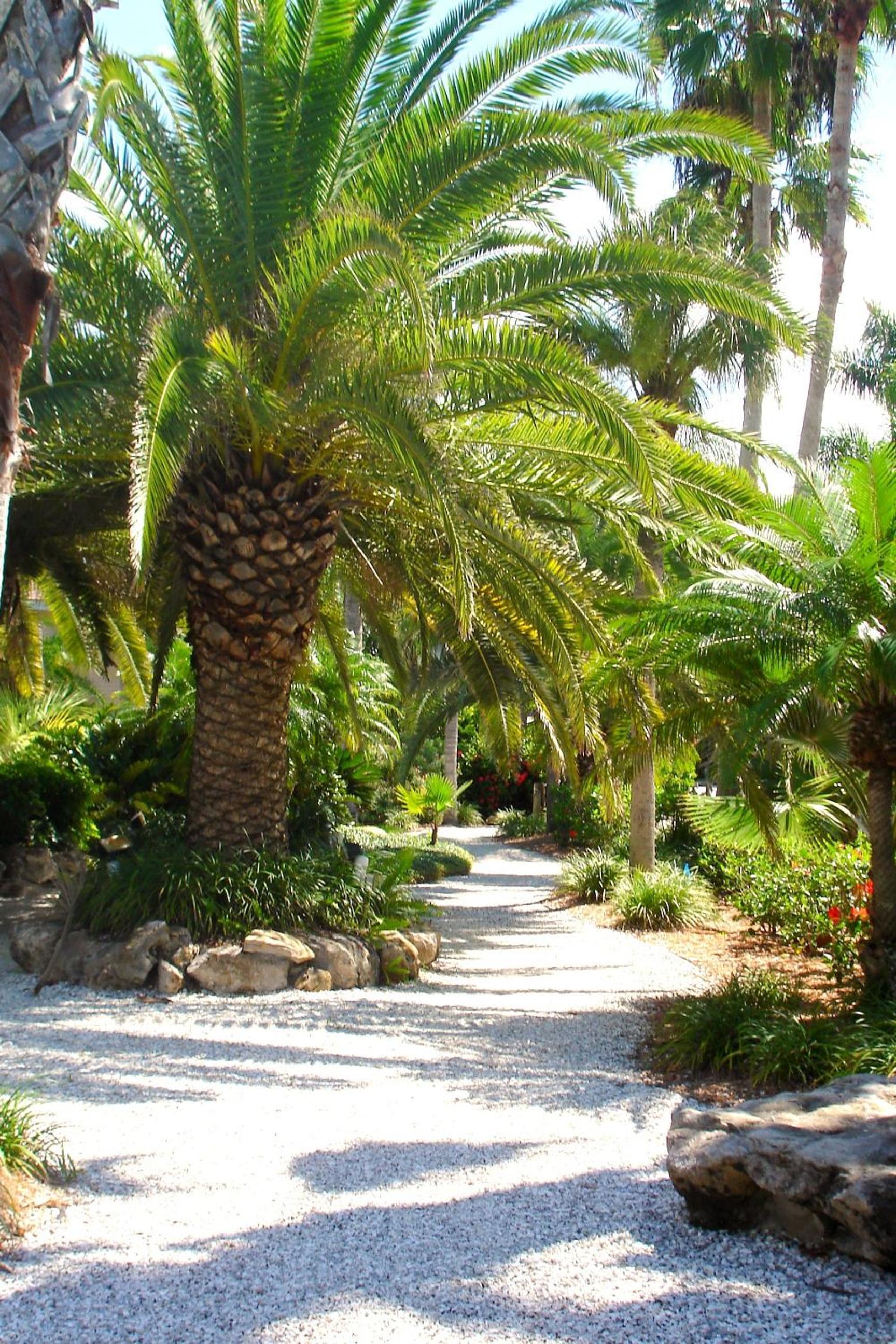 Tropical Beach Resorts - Sarasota photo 70