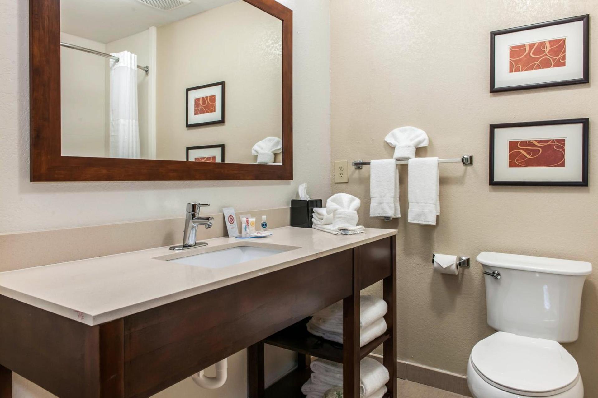 Comfort Inn Blue Ash North photo 42