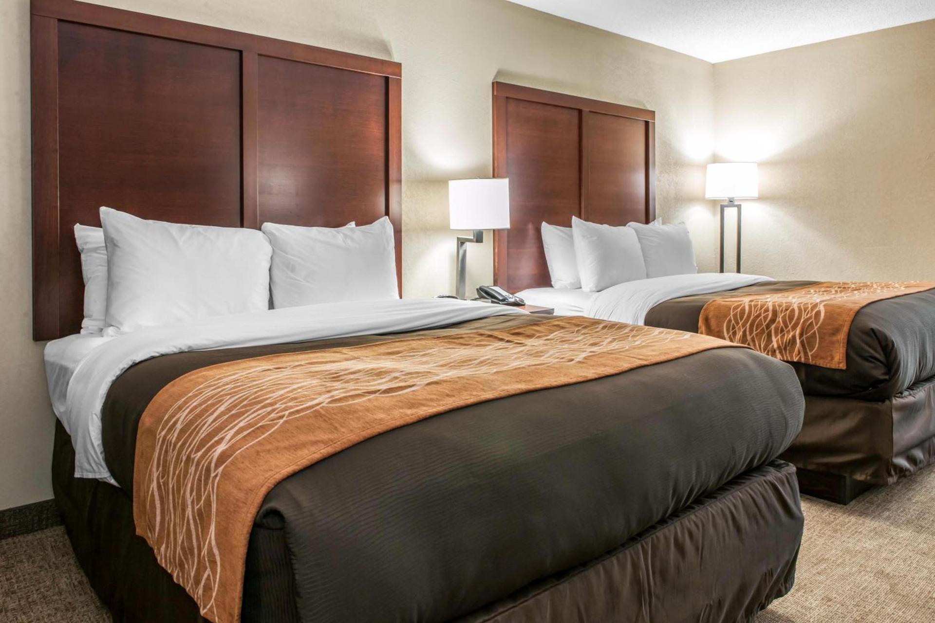 Comfort Inn Blue Ash North photo 52
