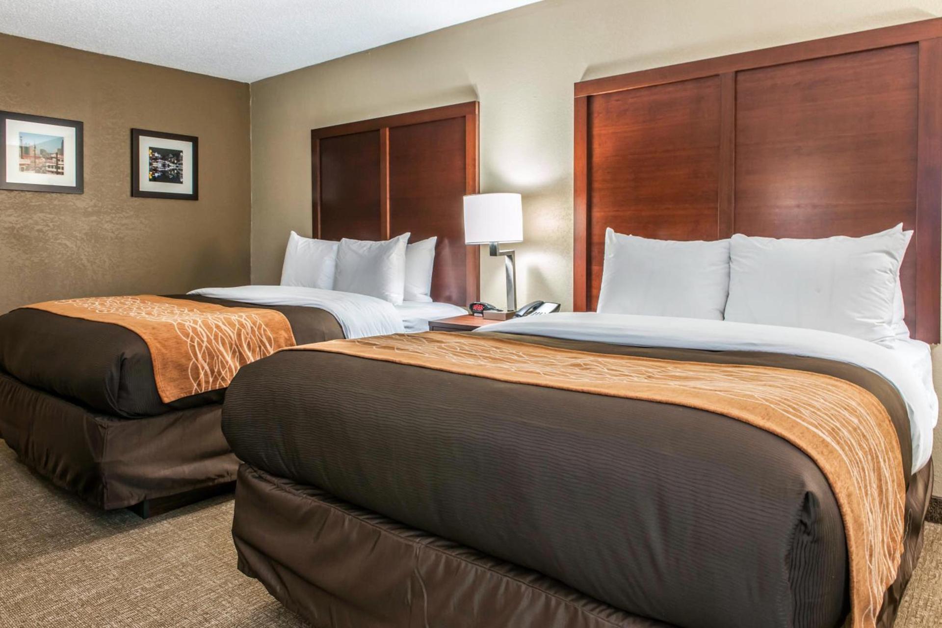 Comfort Inn Blue Ash North photo 48