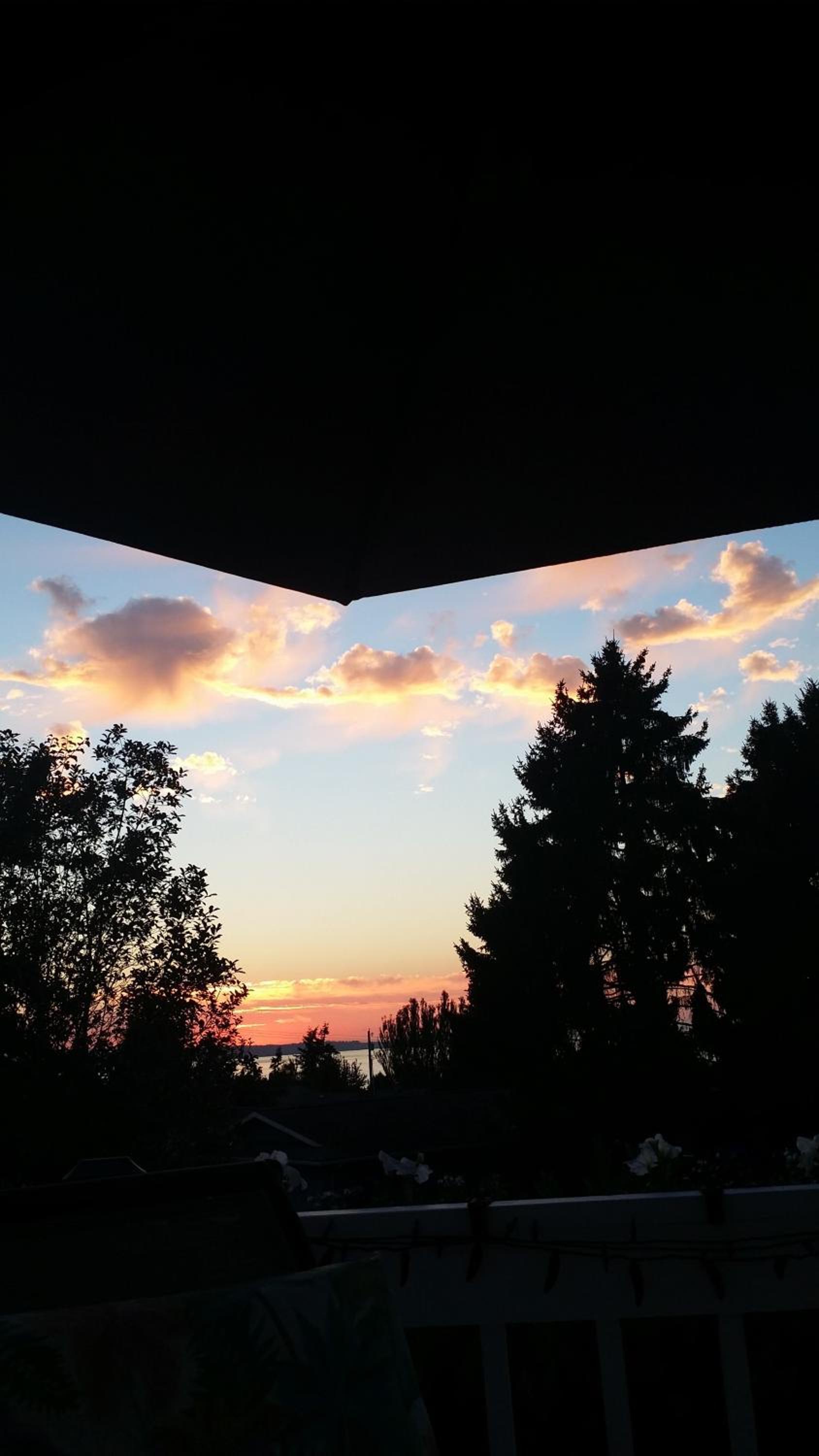 Villa Rivarola photo 3