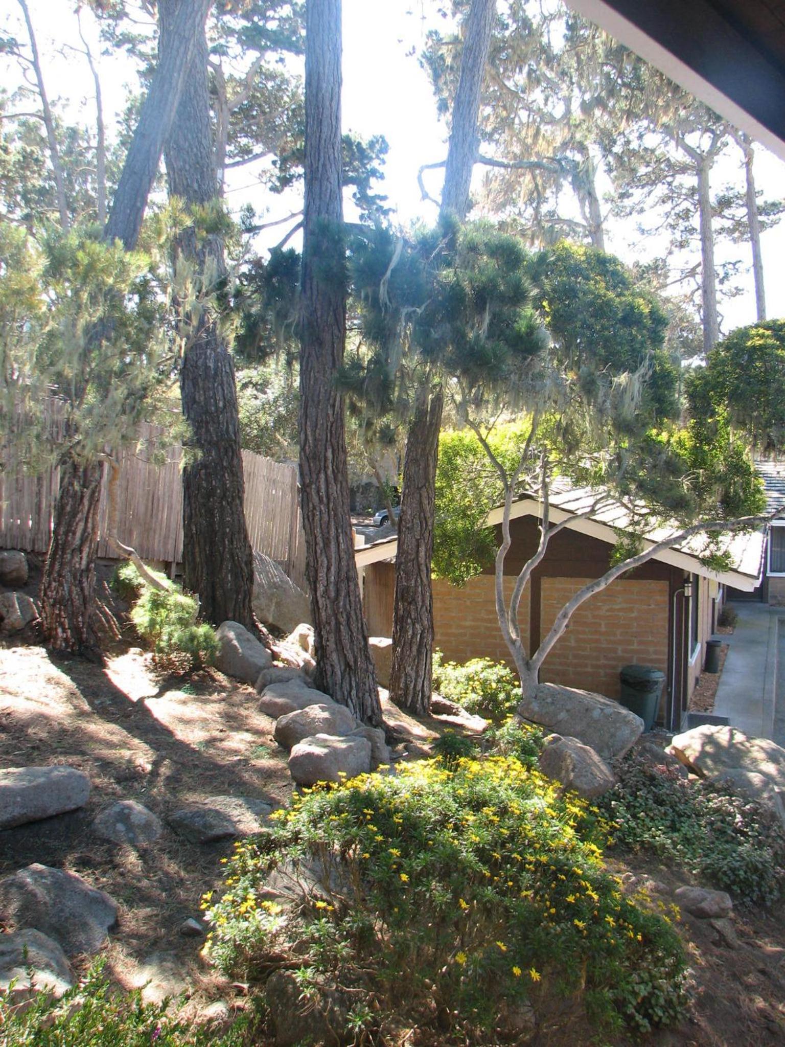 Lighthouse Lodge & Cottages photo 13