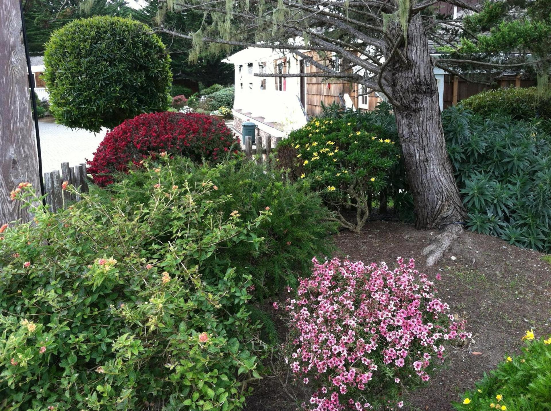 Lighthouse Lodge & Cottages photo 12