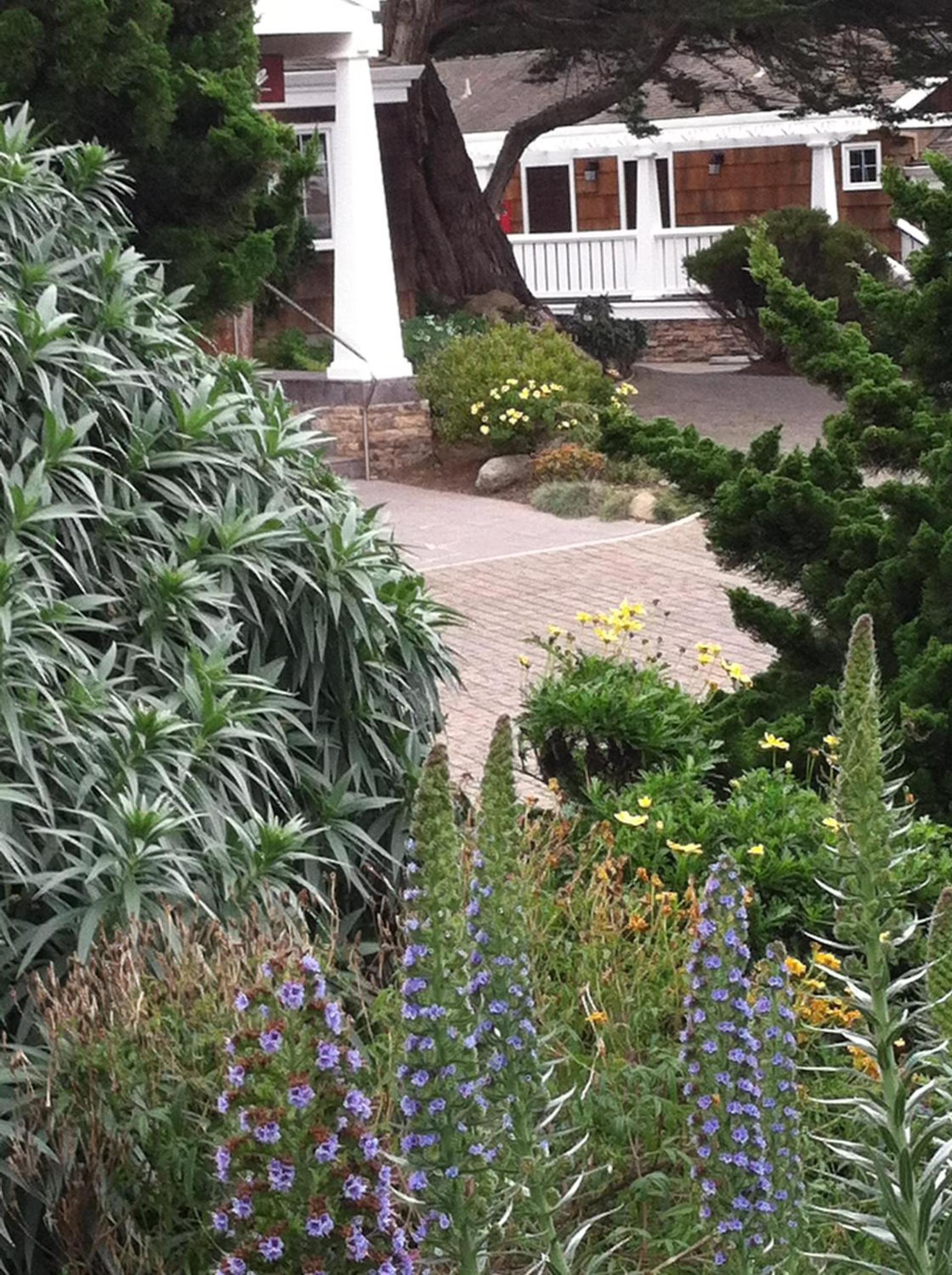 Lighthouse Lodge & Cottages photo 21