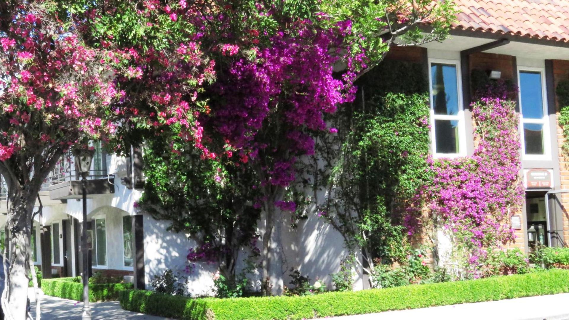 Laguna Hills Lodge-Irvine Spectrum photo 37