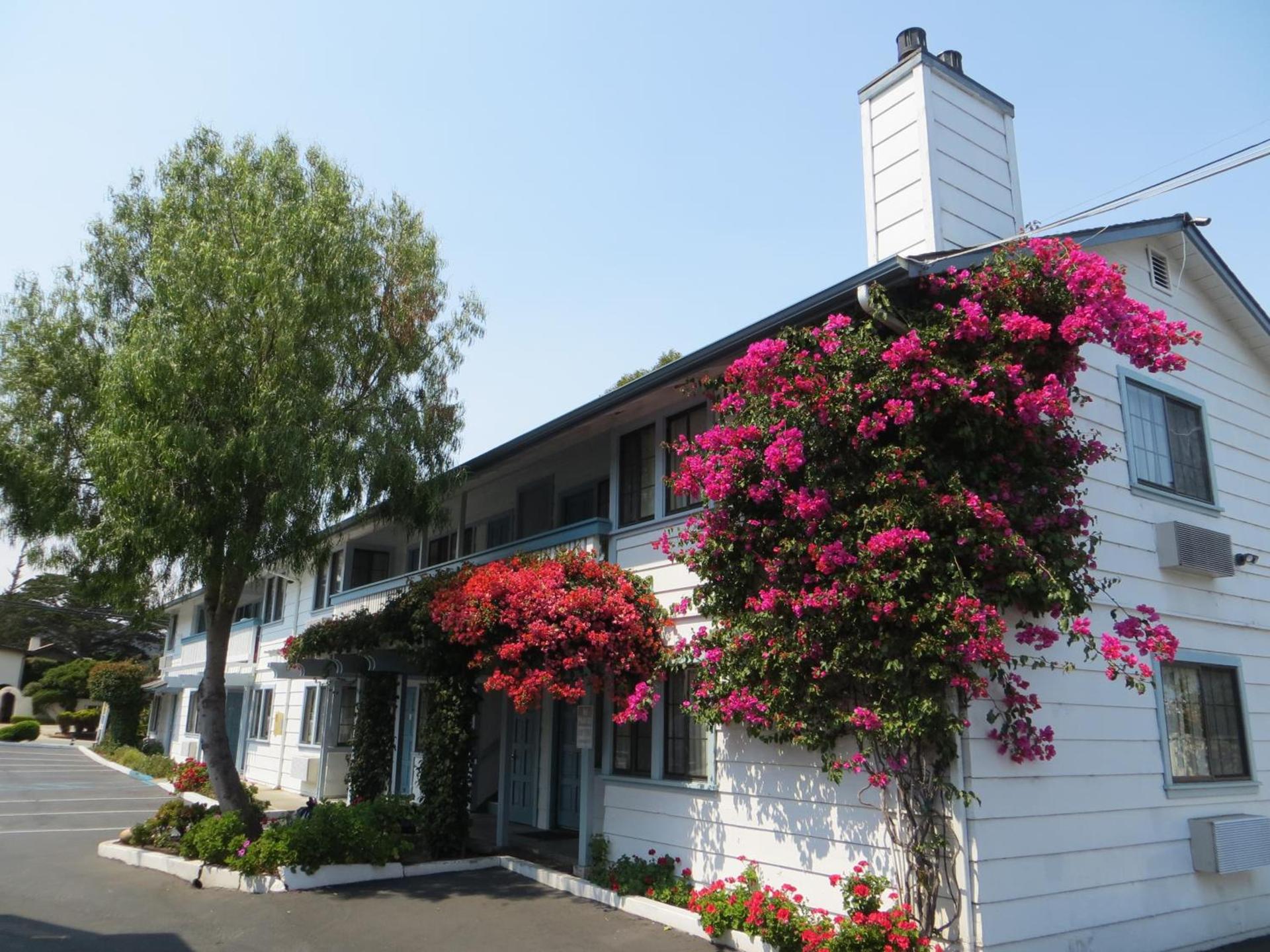 Arbor Inn Monterey photo 27
