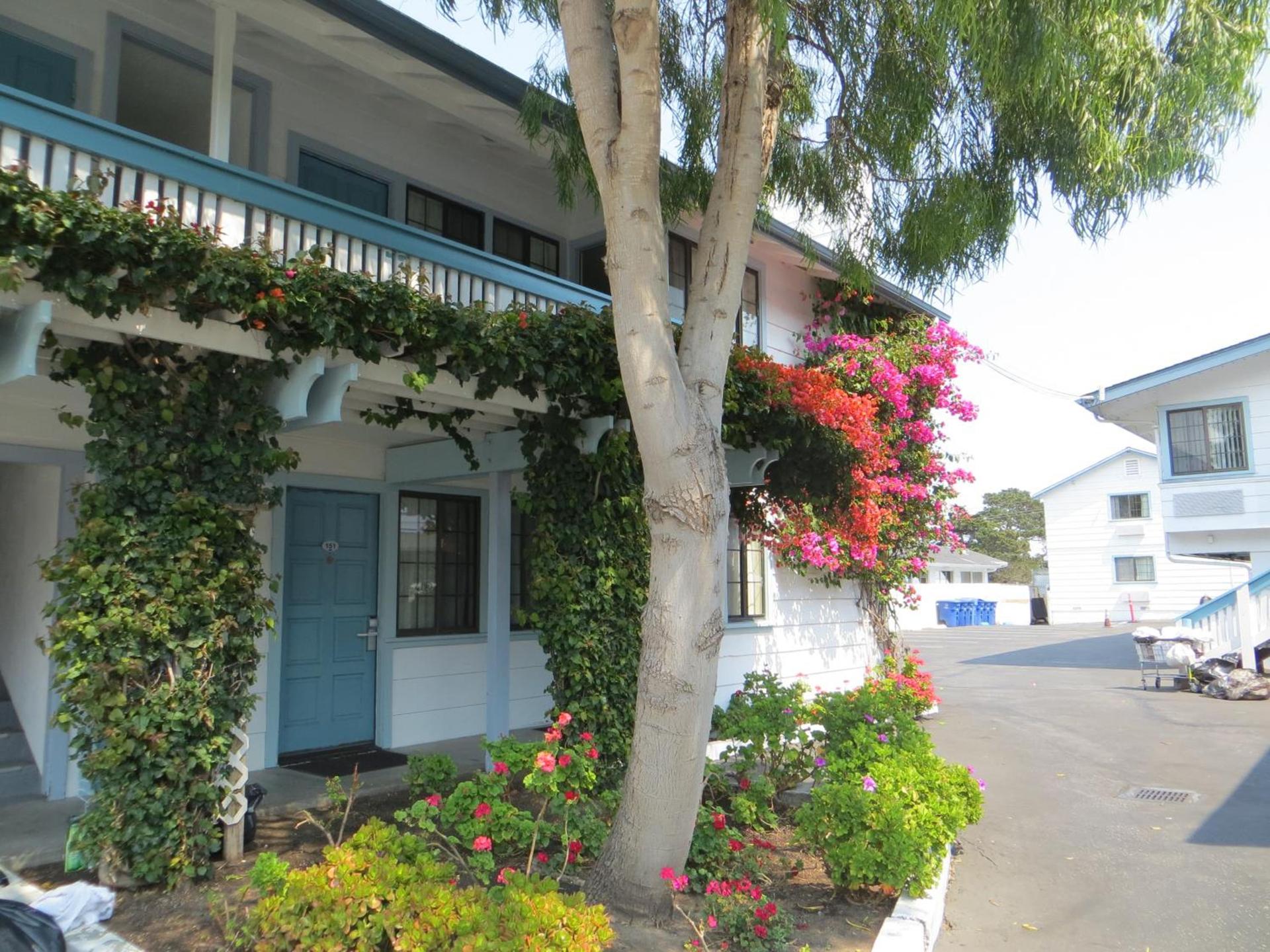 Arbor Inn Monterey photo 32