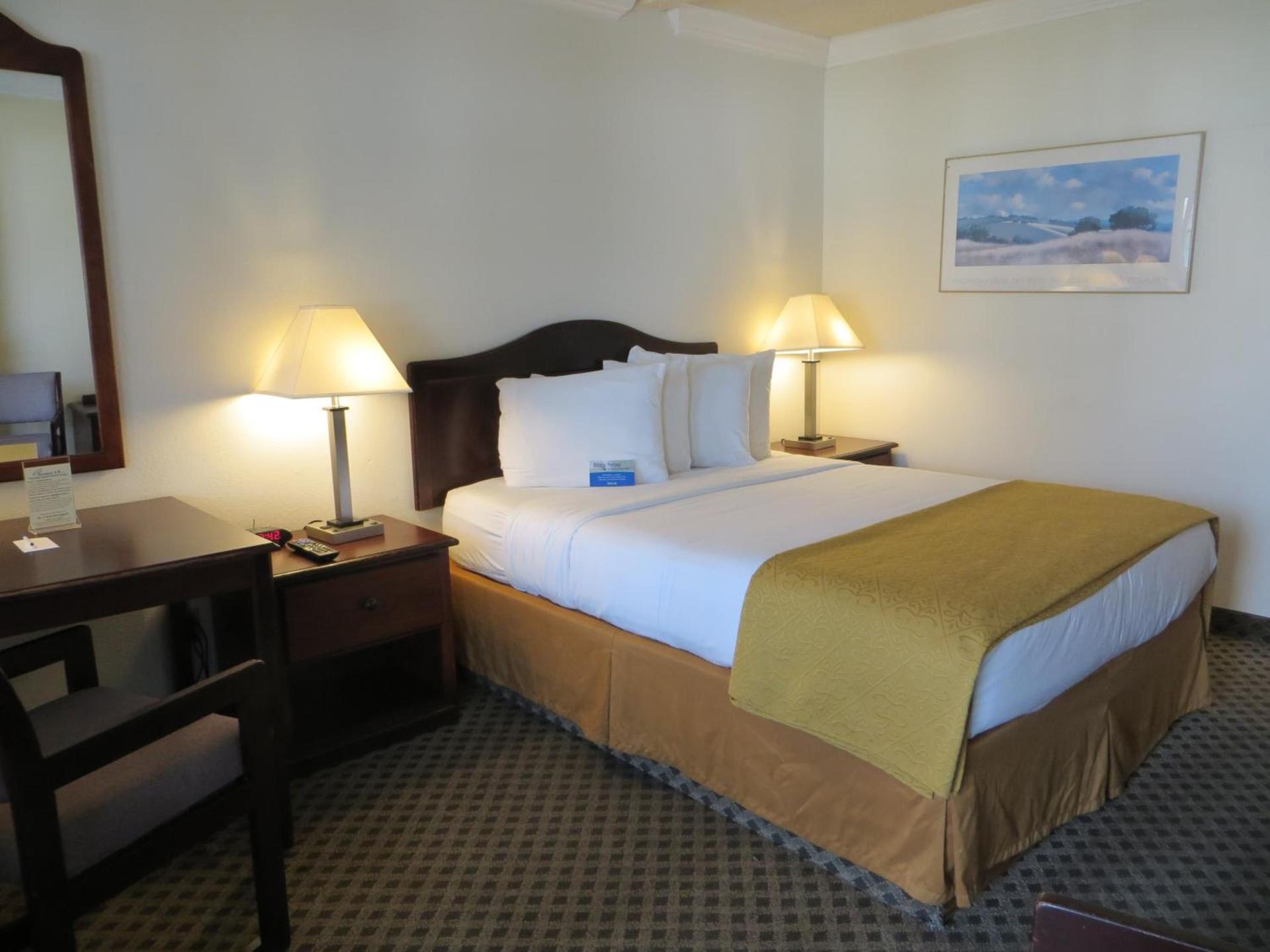 Arbor Inn Monterey photo 45