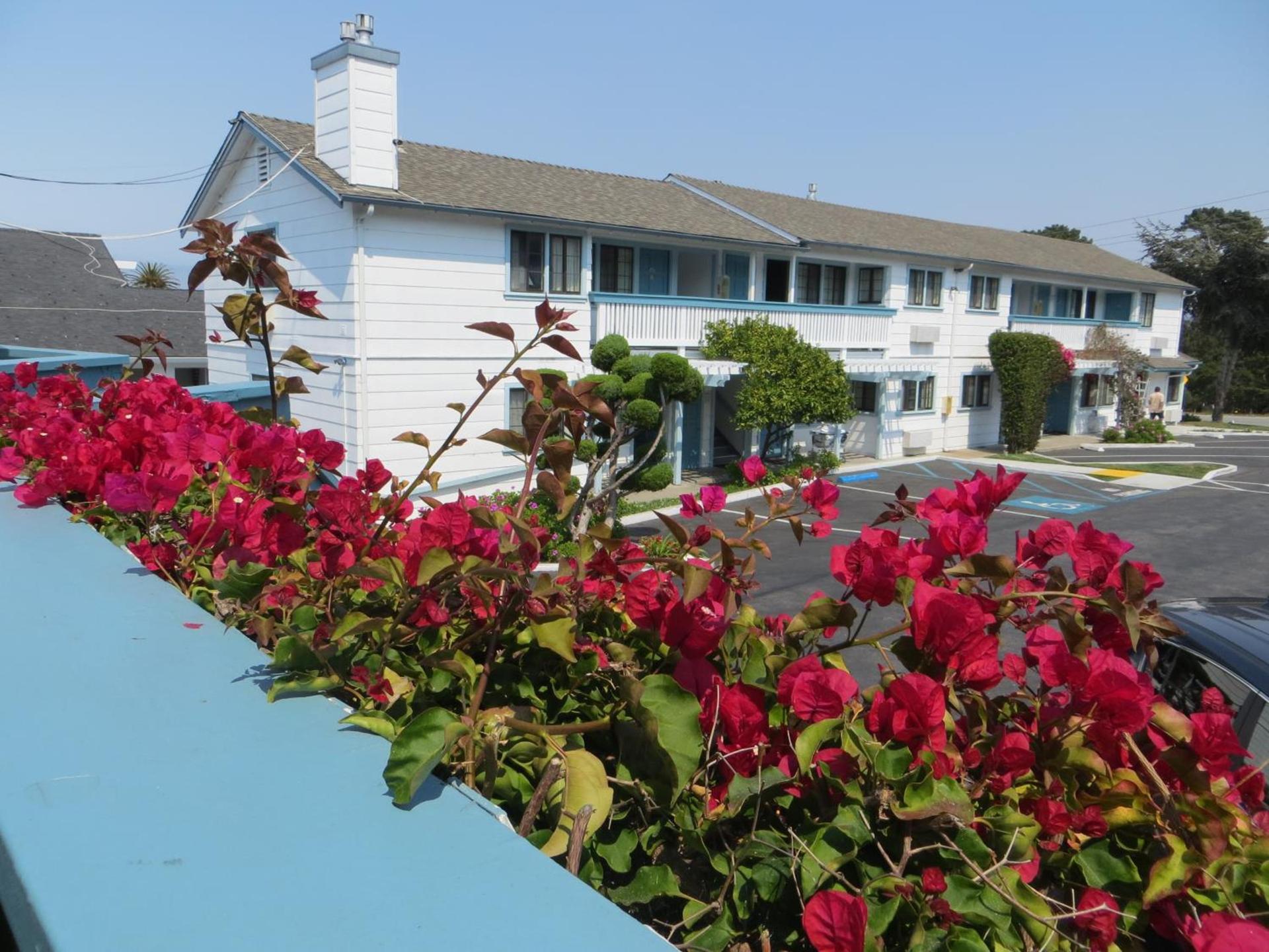 Arbor Inn Monterey photo 49