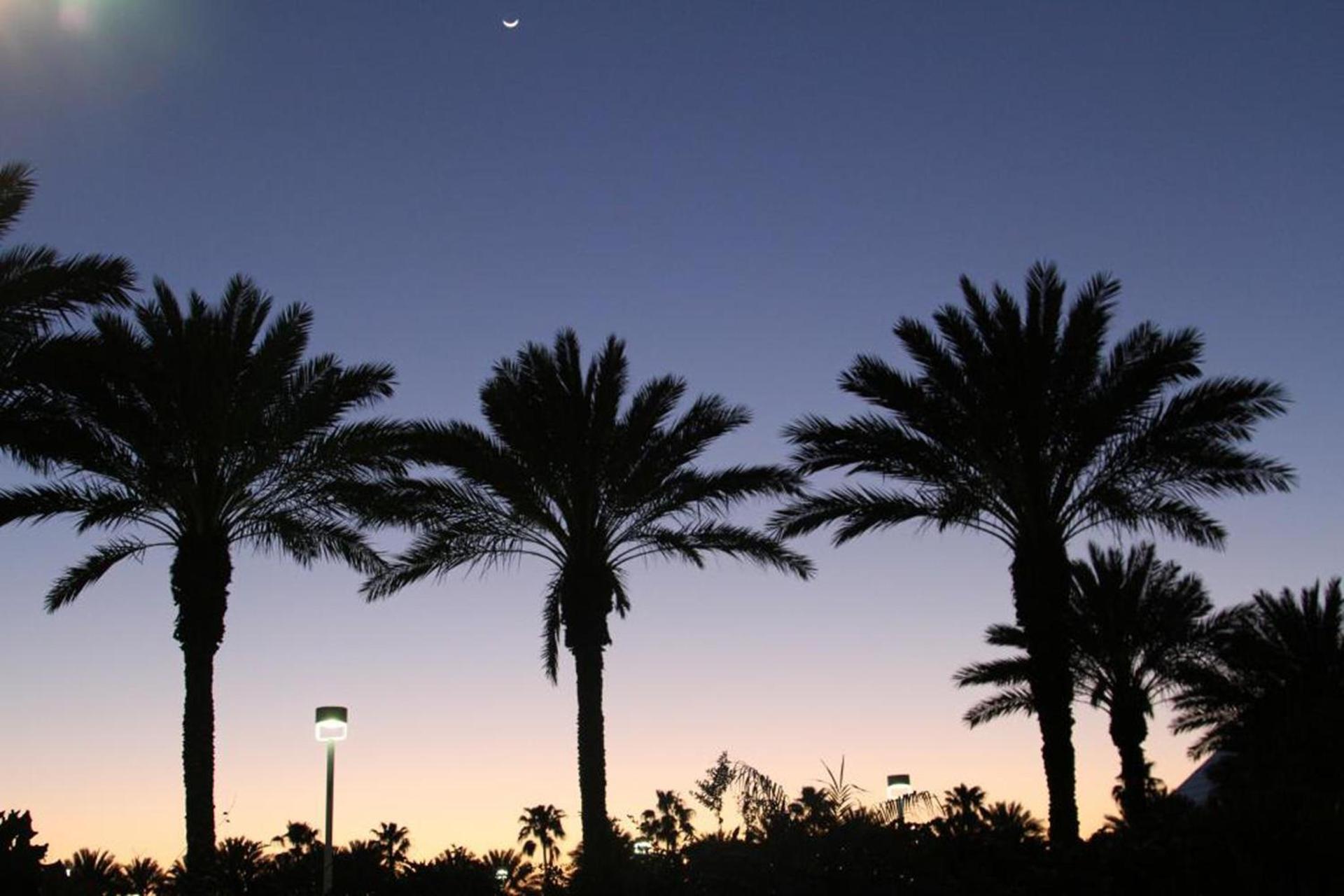 Moody Gardens Hotel Spa and Convention Center photo 51