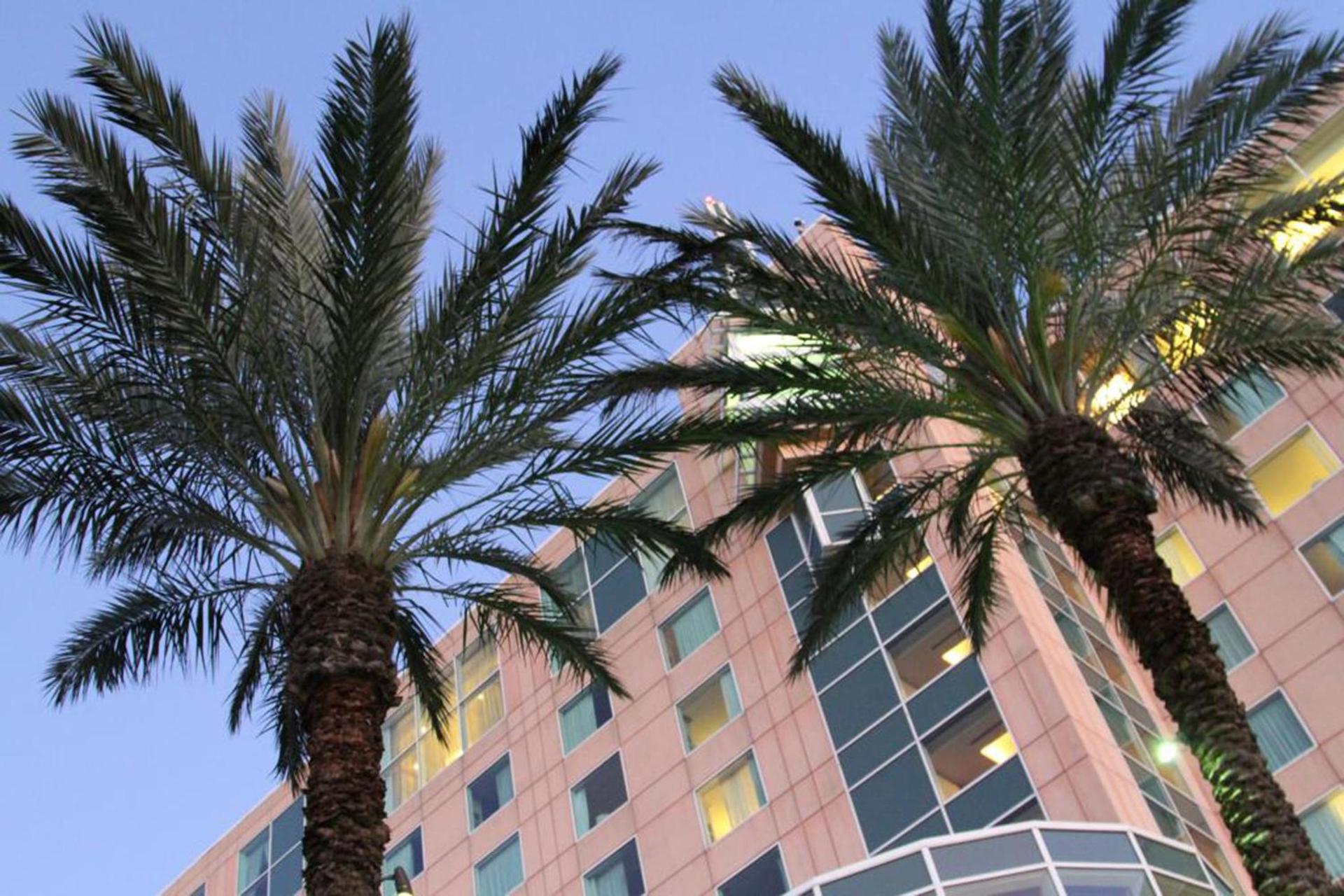 Moody Gardens Hotel Spa and Convention Center photo 21